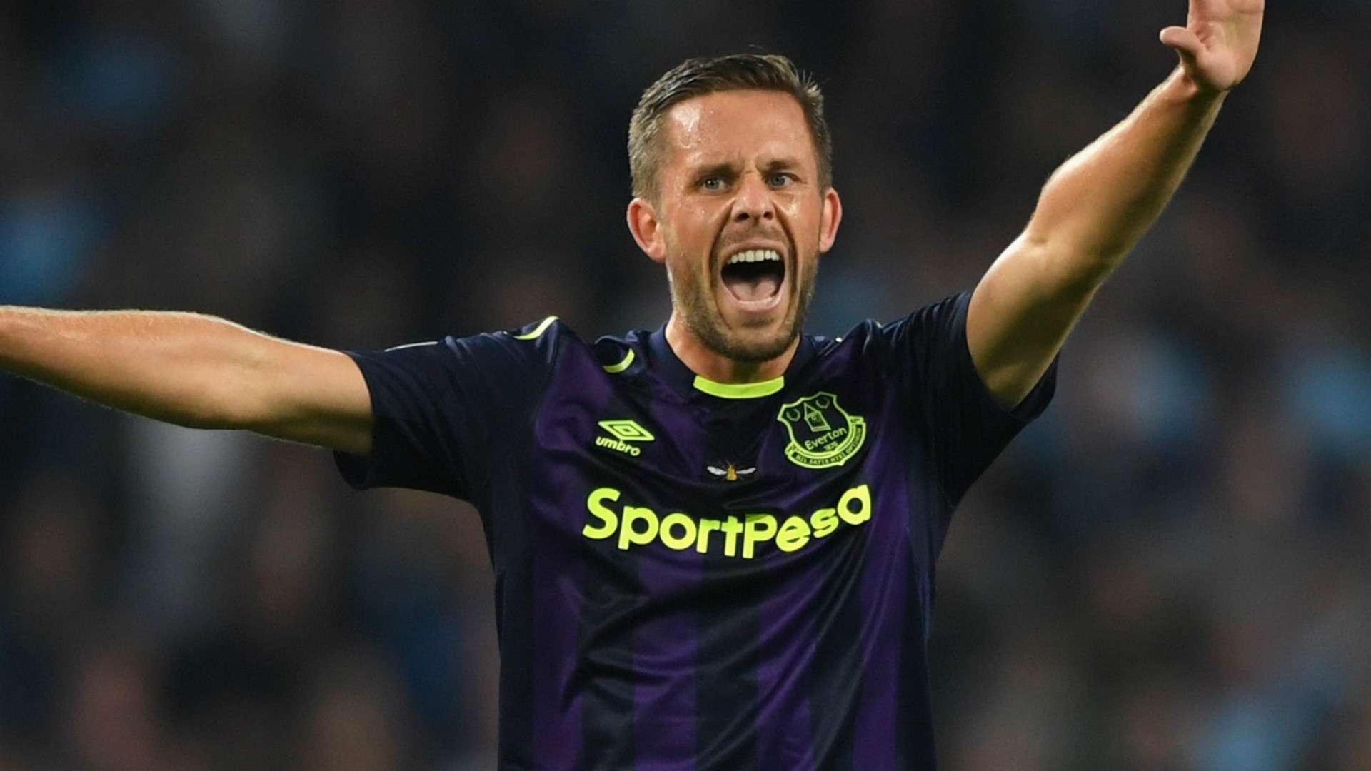 Gylfi Sigurdsson Everton