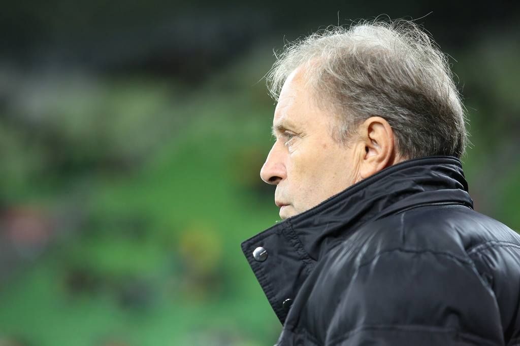 Milovan Rajevac