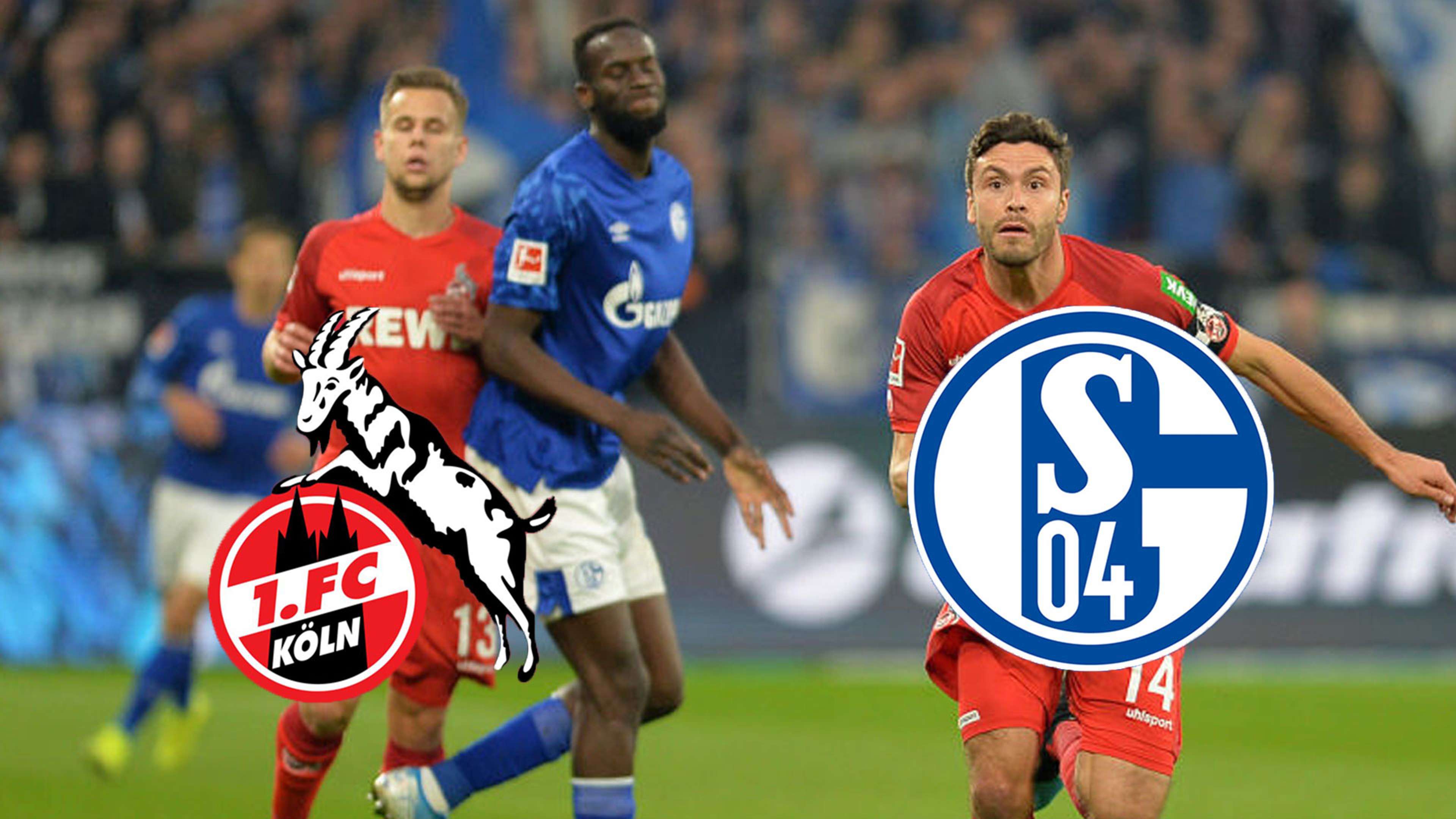 1. FC Köln Schalke 04 TV LIVE STREAM Bundesliga
