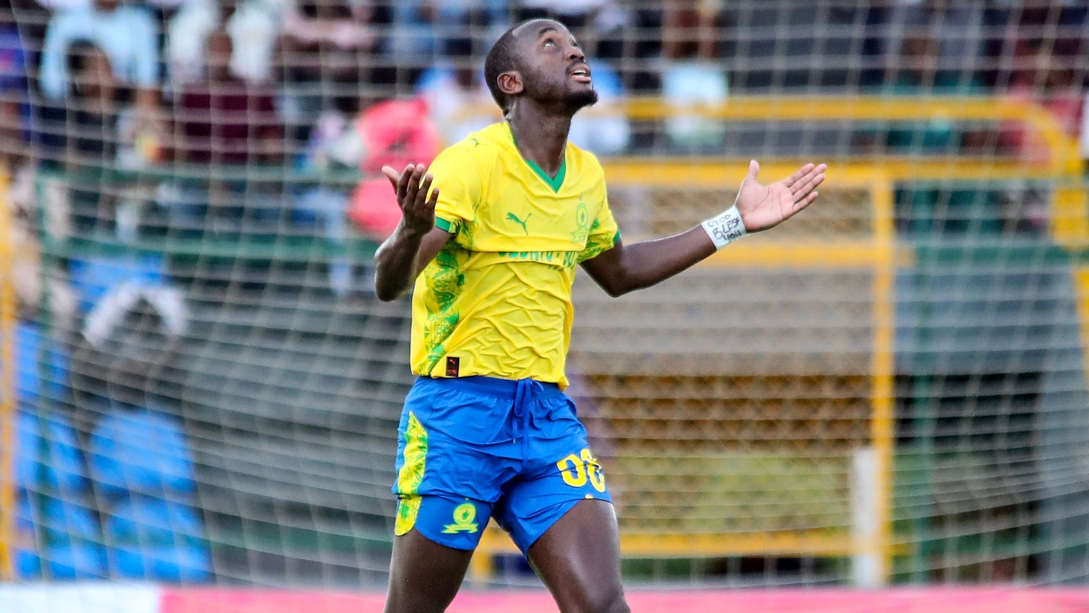 Peter Shalulile, Mamelodi Sundowns