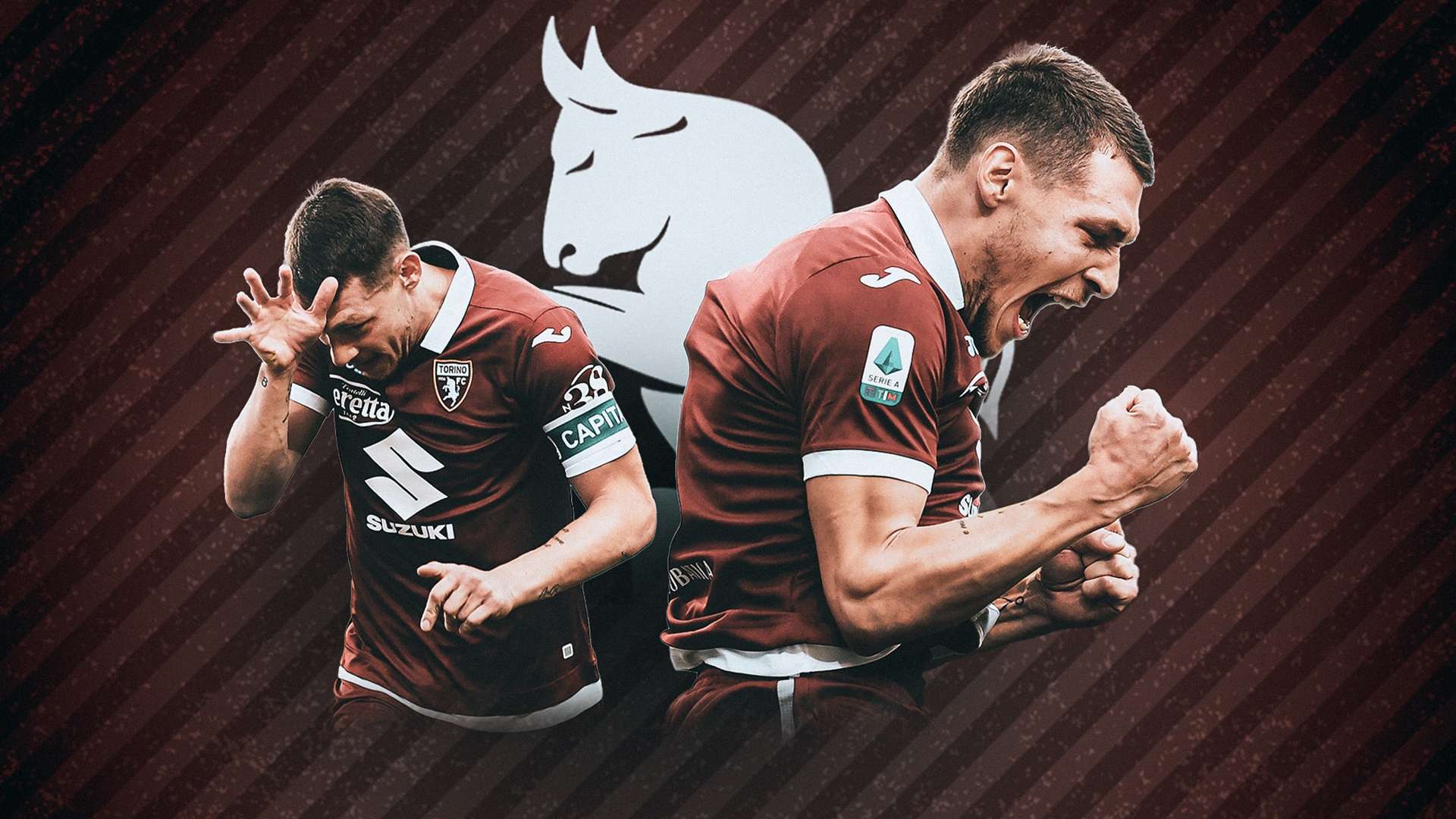 Belotti GFX
