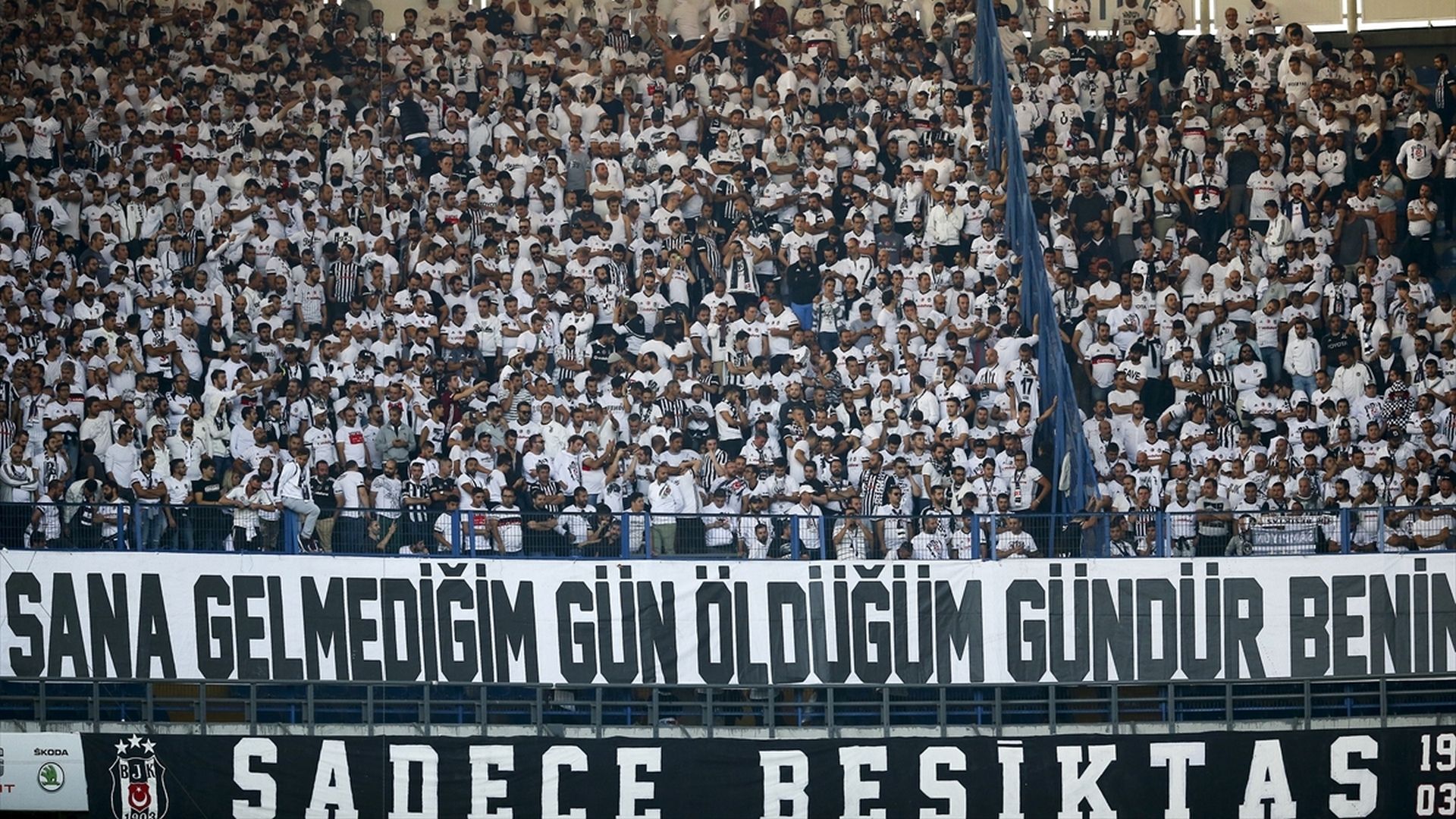 Besiktas fans