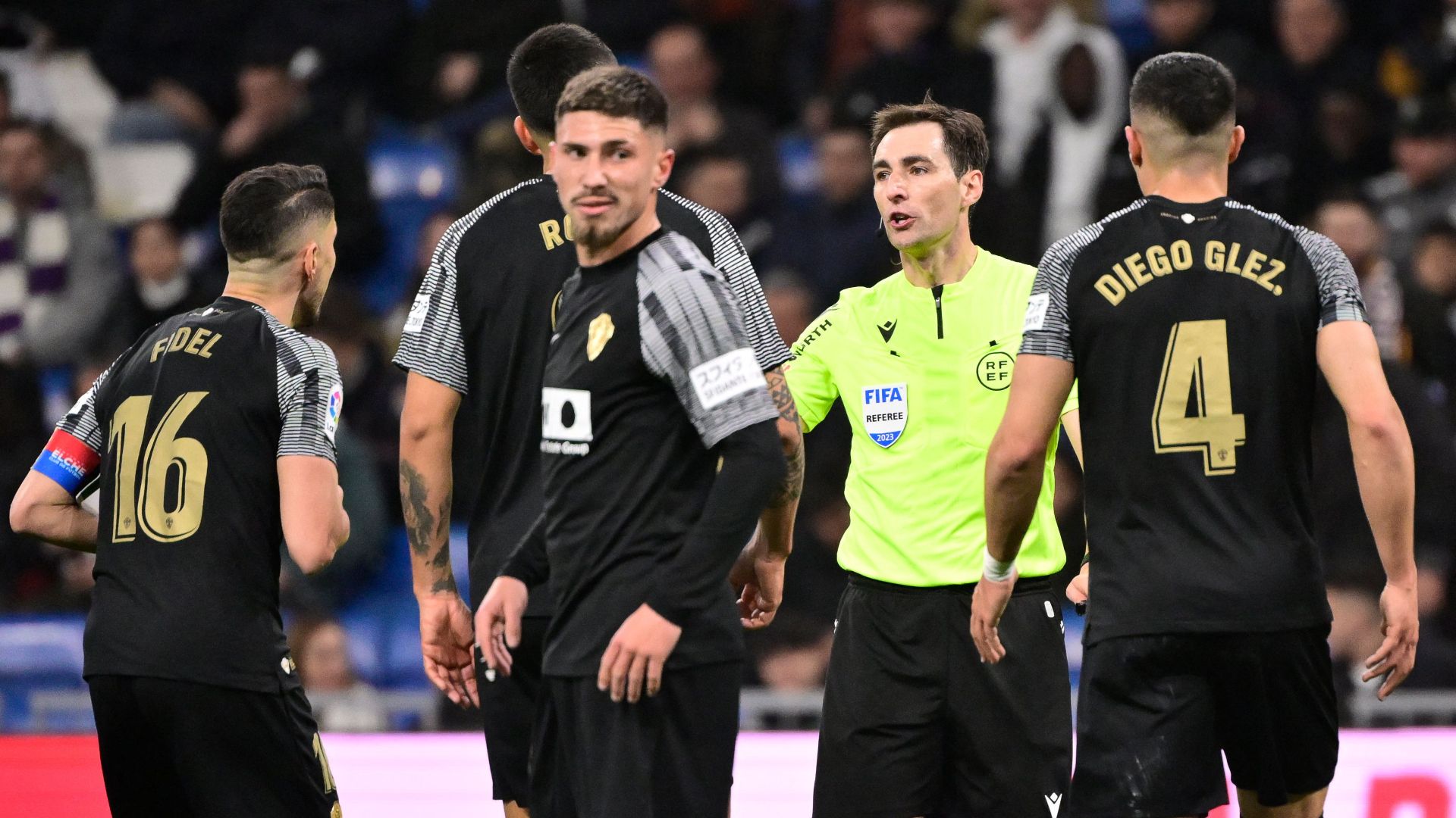 Elche De Burgos Bengoetxea