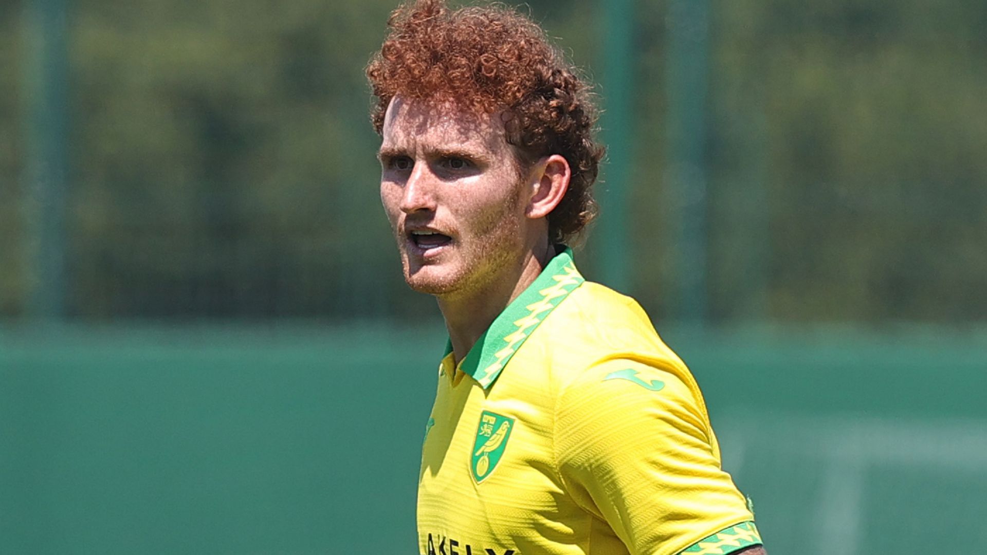 Josh Sargent Norwich 2025