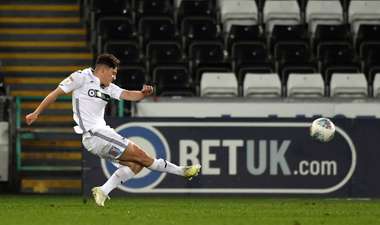 Daniel James Swansea Stoke City goal