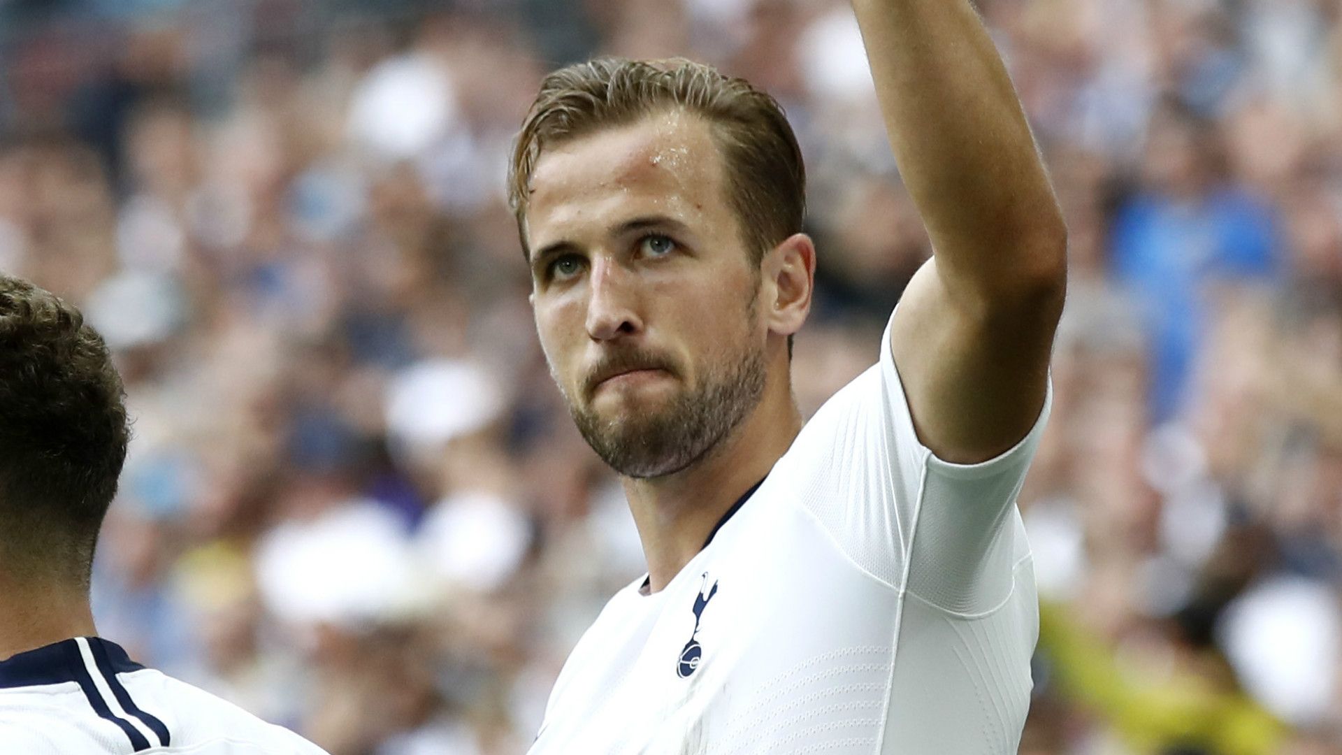 Harry Kane Tottenham 2018-19