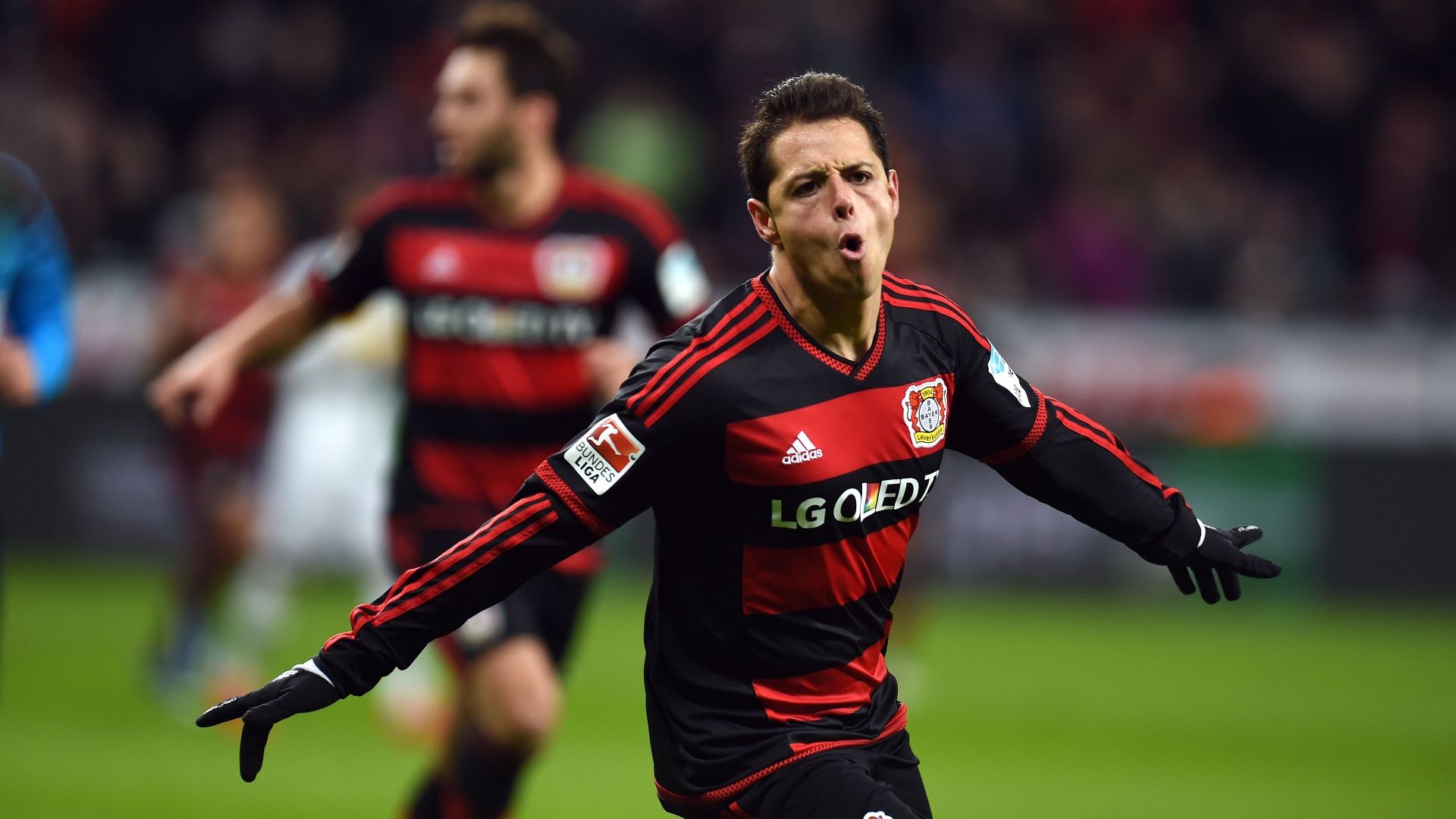 Javier Hernández Bayer Leverkusen 2015