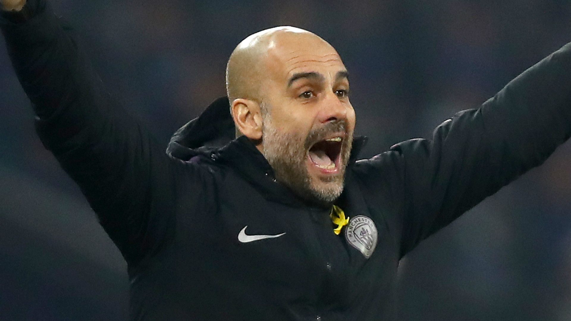 Pep Guardiola Manchester City 2018-19
