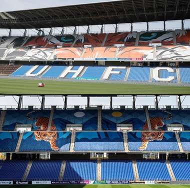 울산 홈구장 호랑이