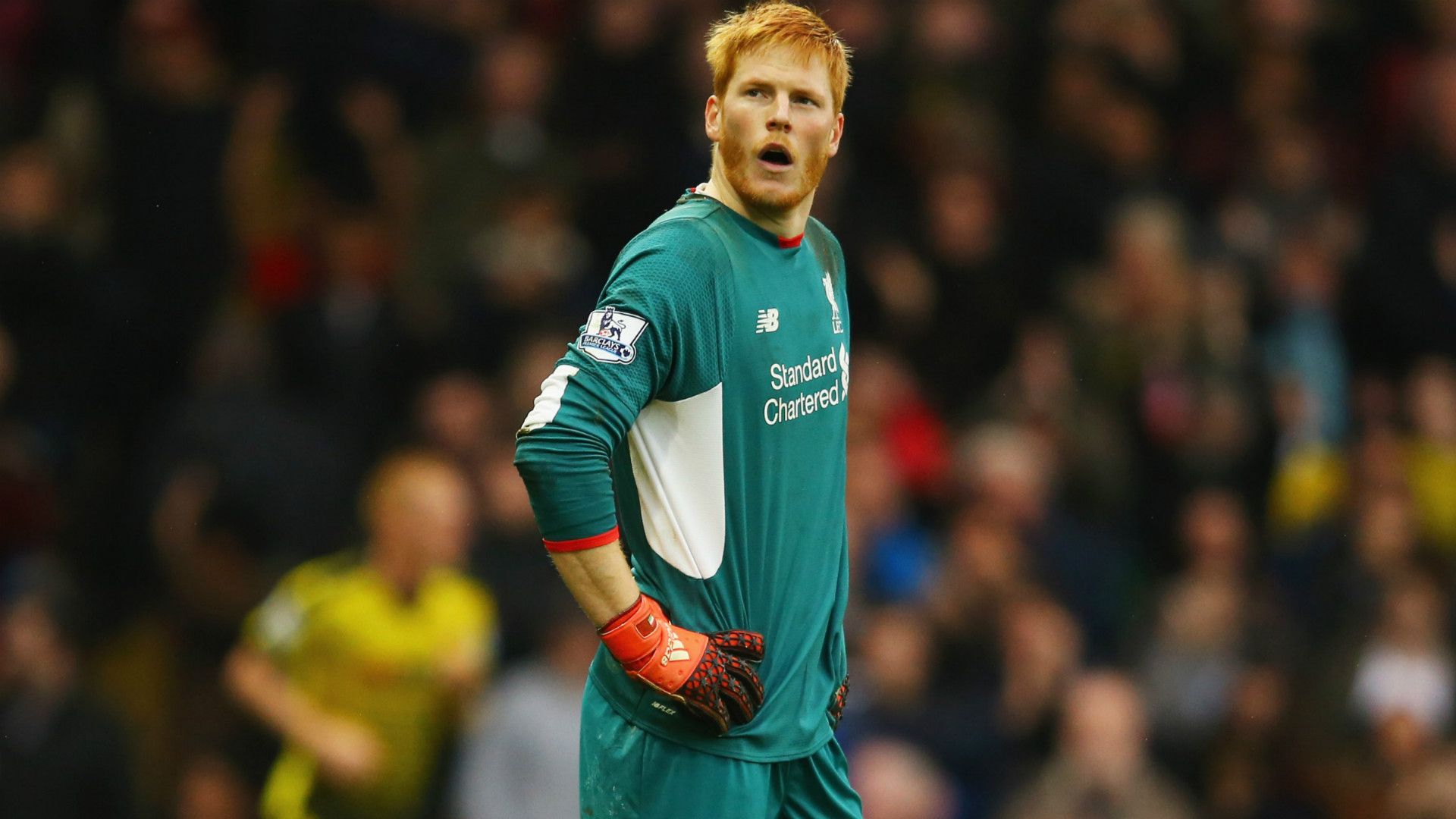 HD Adam Bogdan