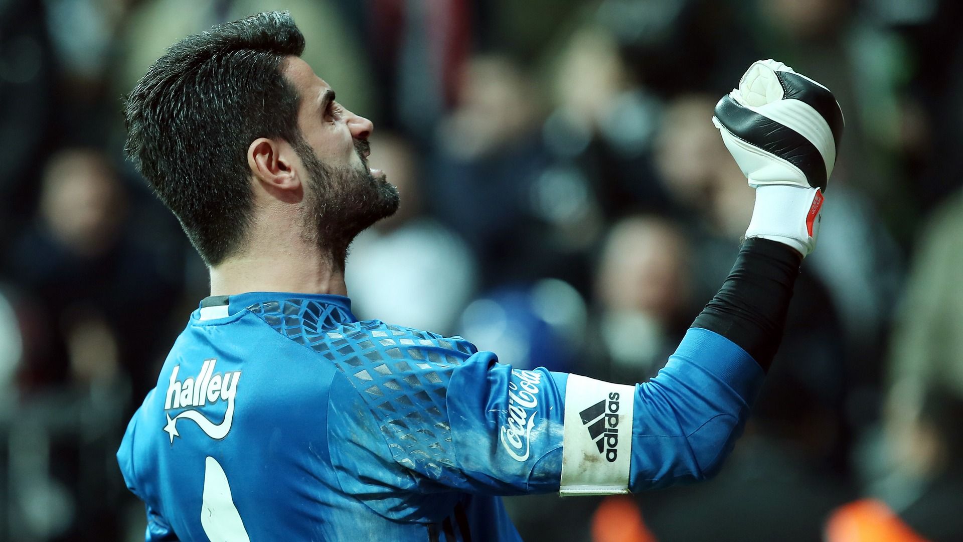 Volkan Demirel Fenerbahce