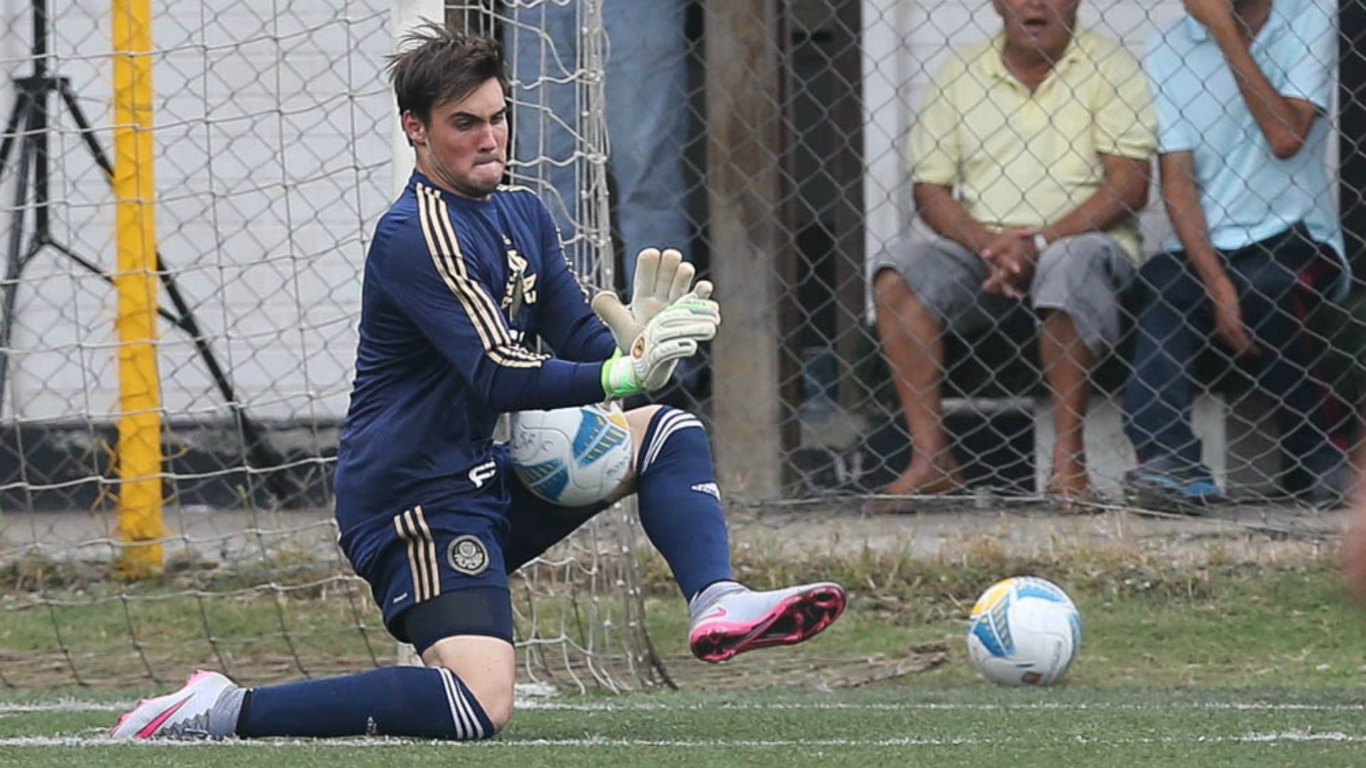 daniel fuzato palmeiras