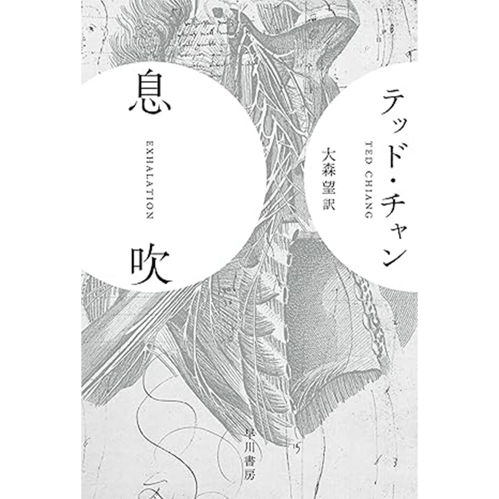 24 amazon kindle xmas 20251214