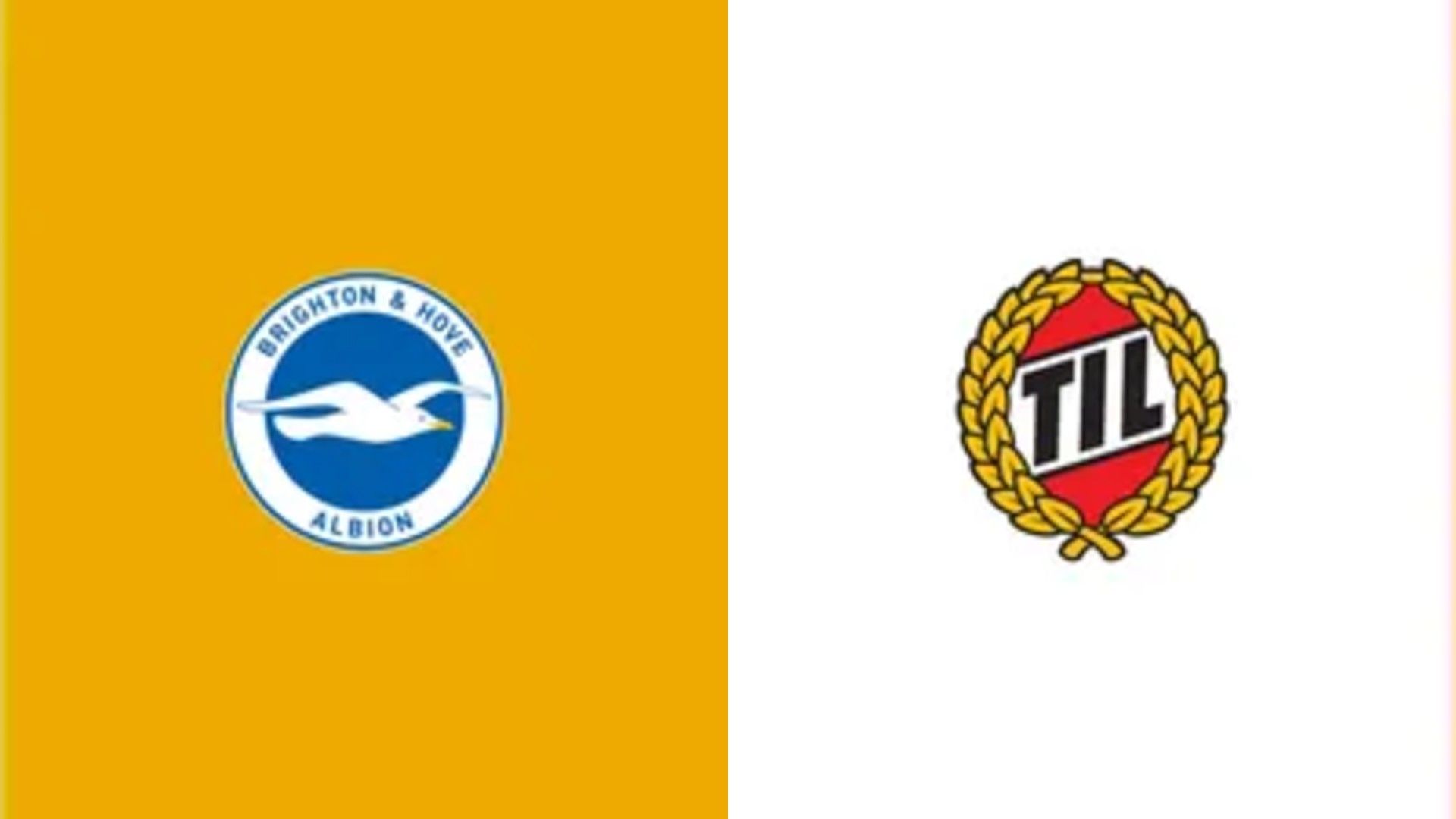 brighton vs tromsoe