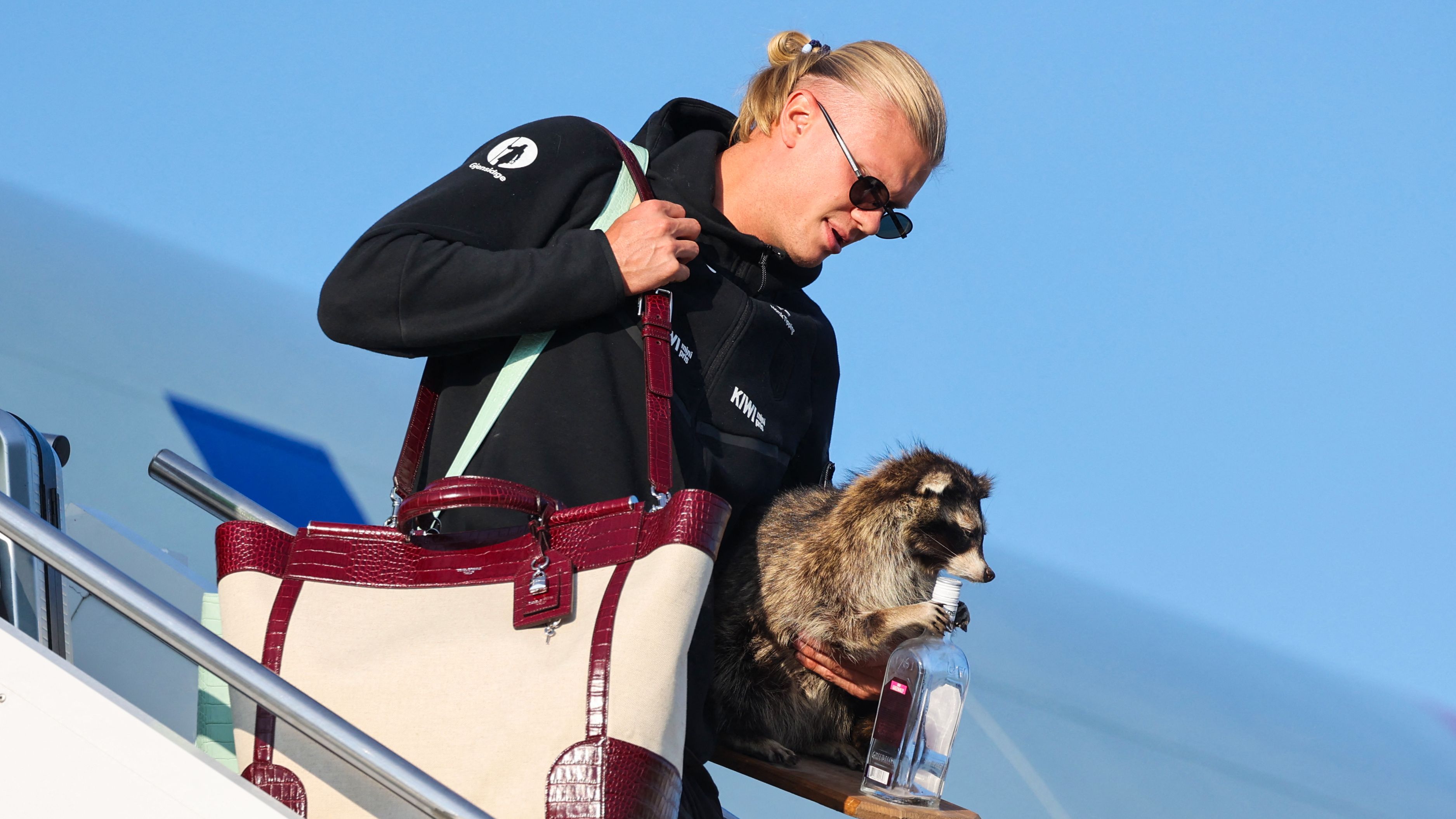 Haaland Raccoon
