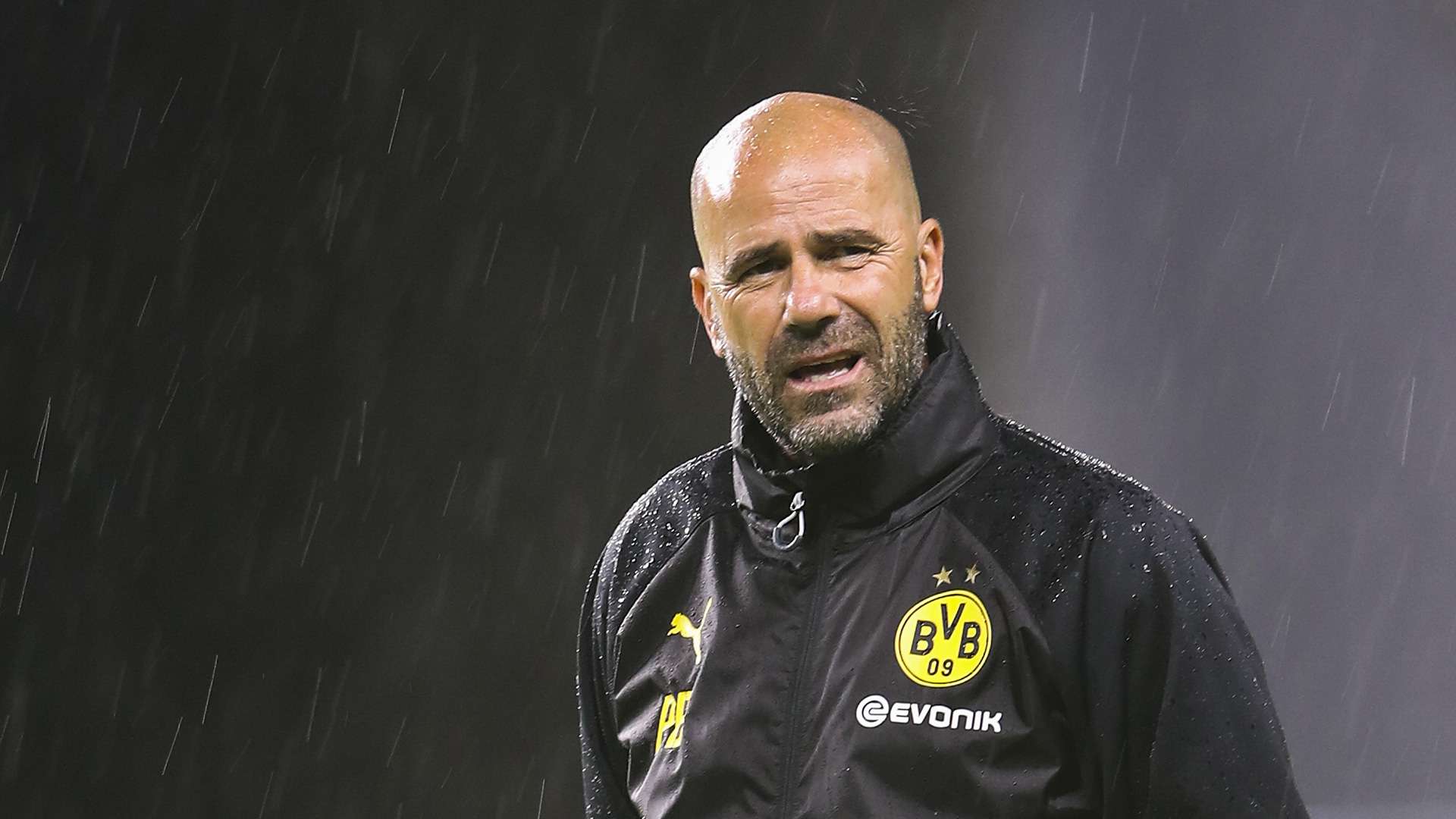 Peter Bosz