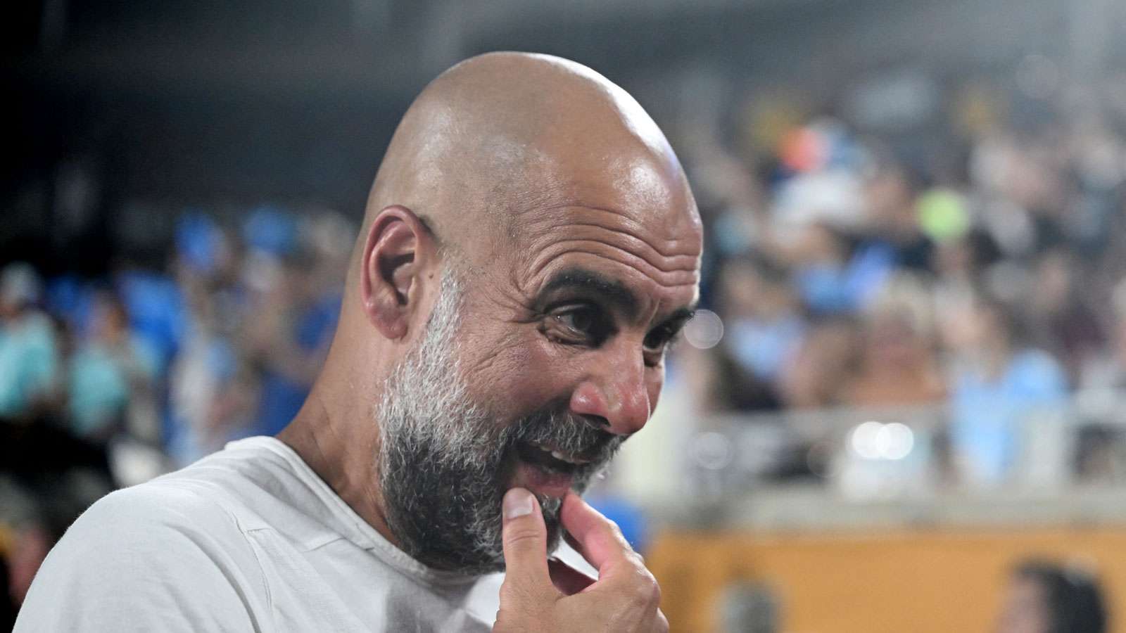 Pep Guardiola