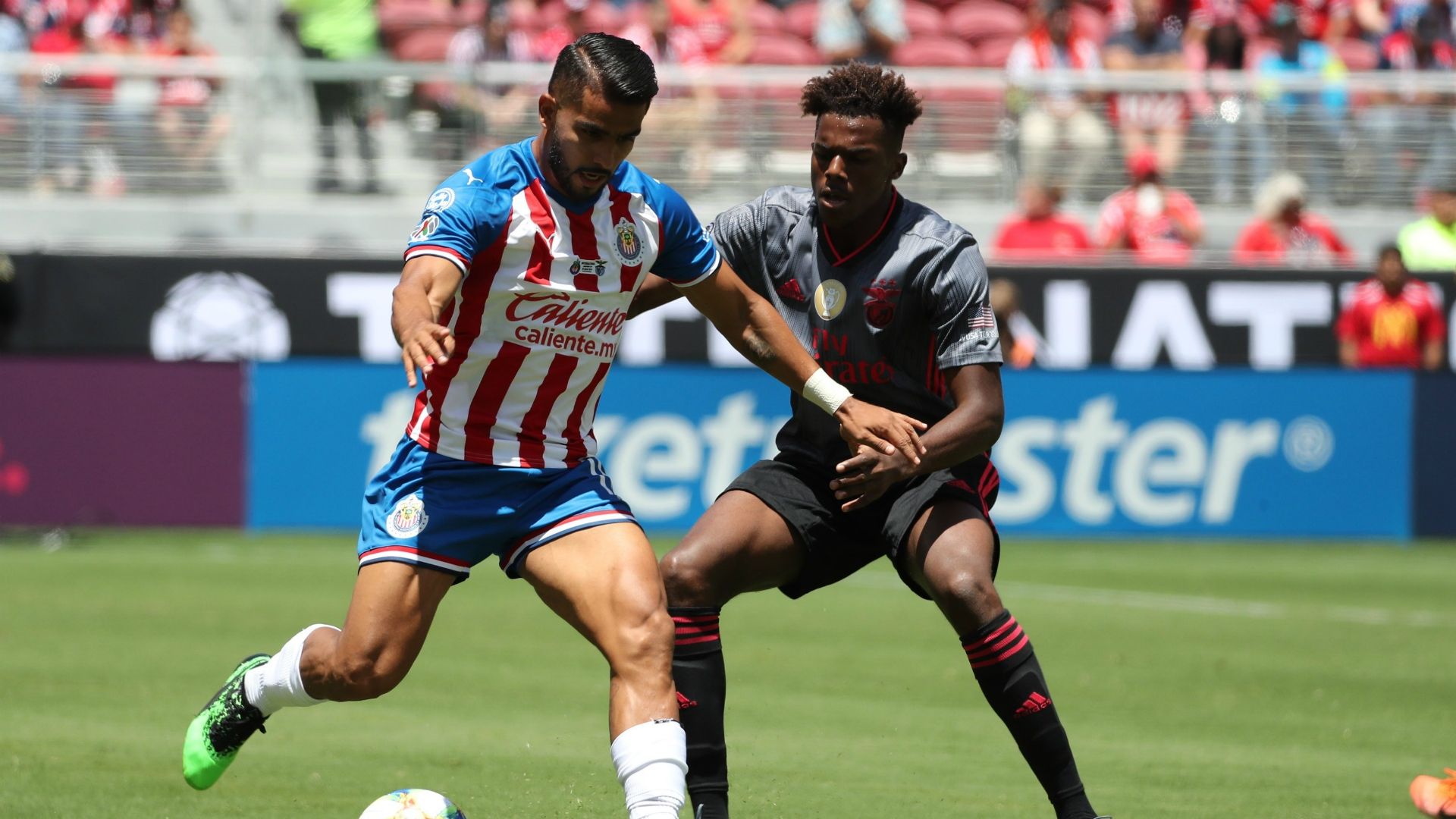 Chivas - Benfica International Champions Cup