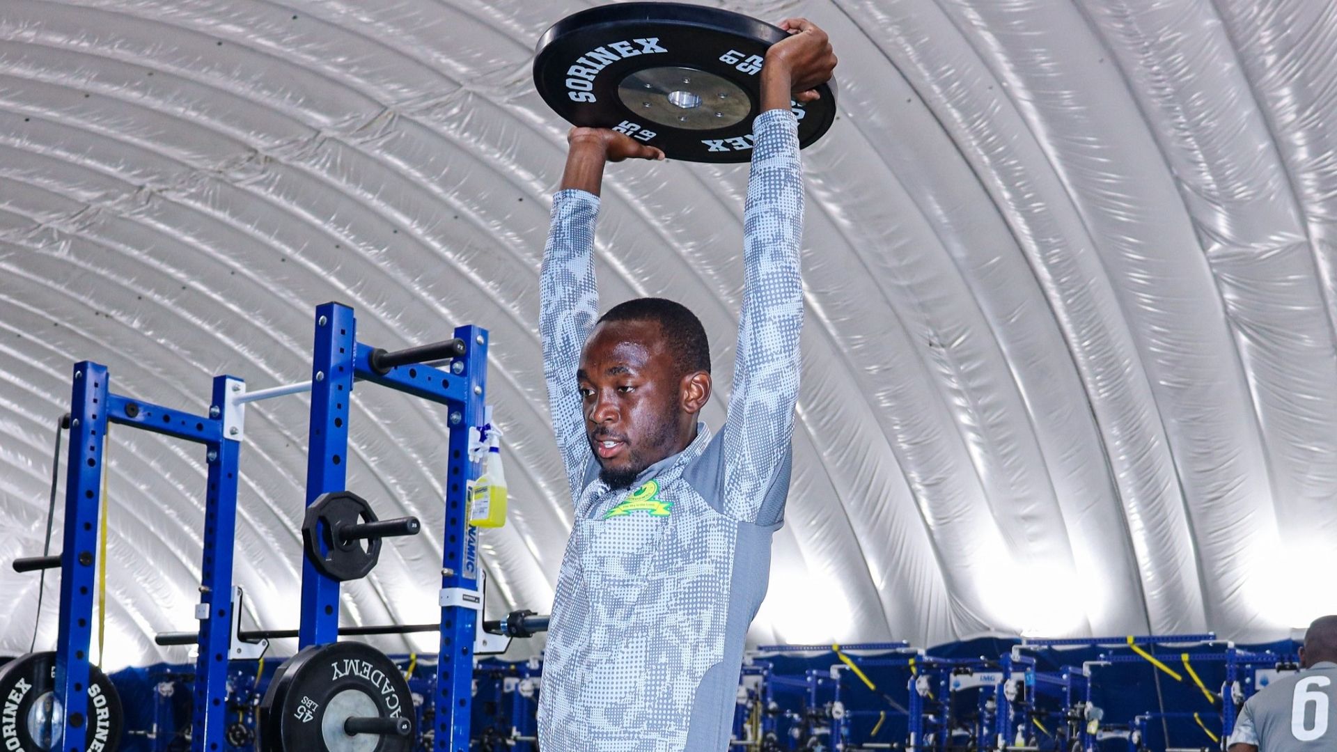 Peter Shalulile, Mamelodi Sundowns