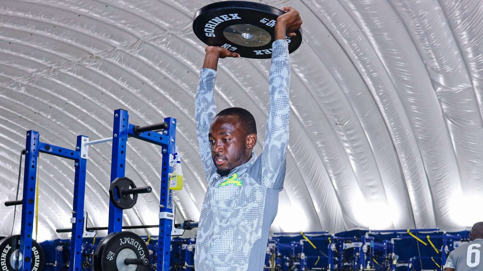 Peter Shalulile, Mamelodi Sundowns