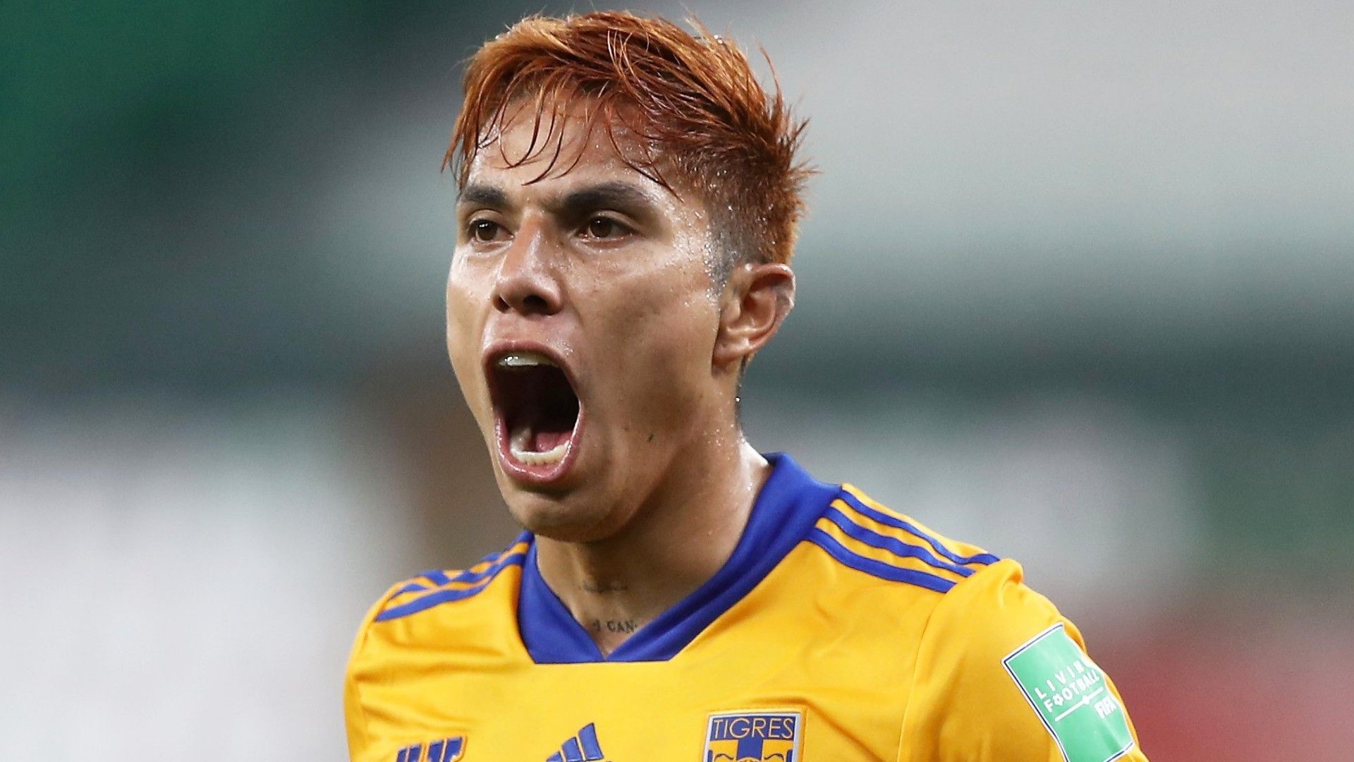 Carlos Salcedo Tigres