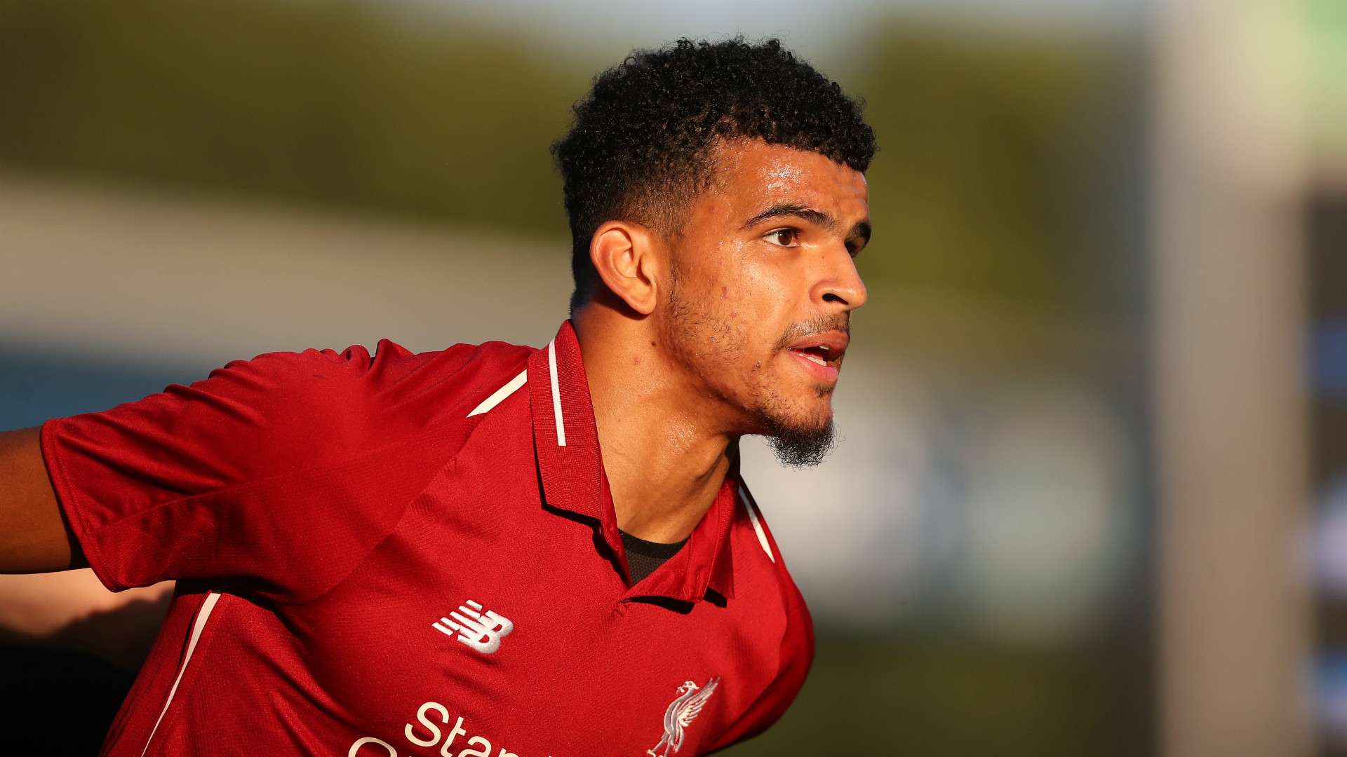DOMINIC SOLANKE