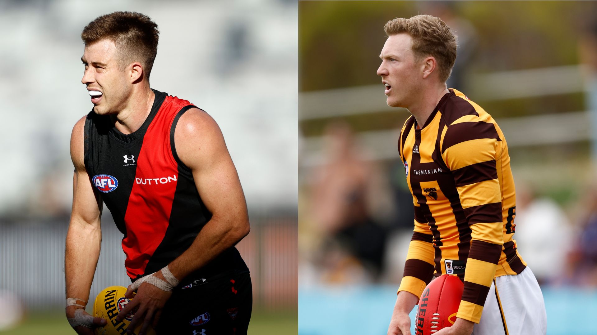 Essendon Hawthorn AFL