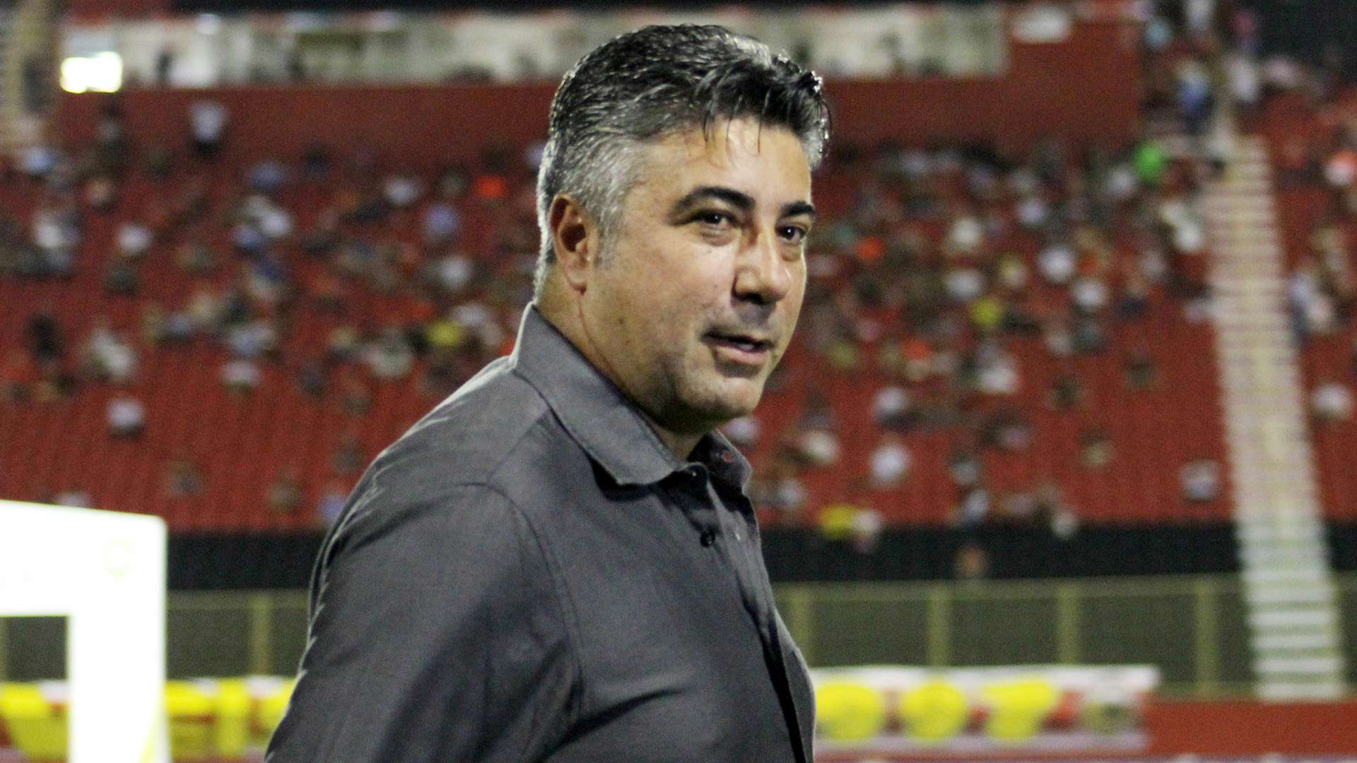 Alexandre Gallo Vitoria Botafogo Brasileirao Serie A 14062017