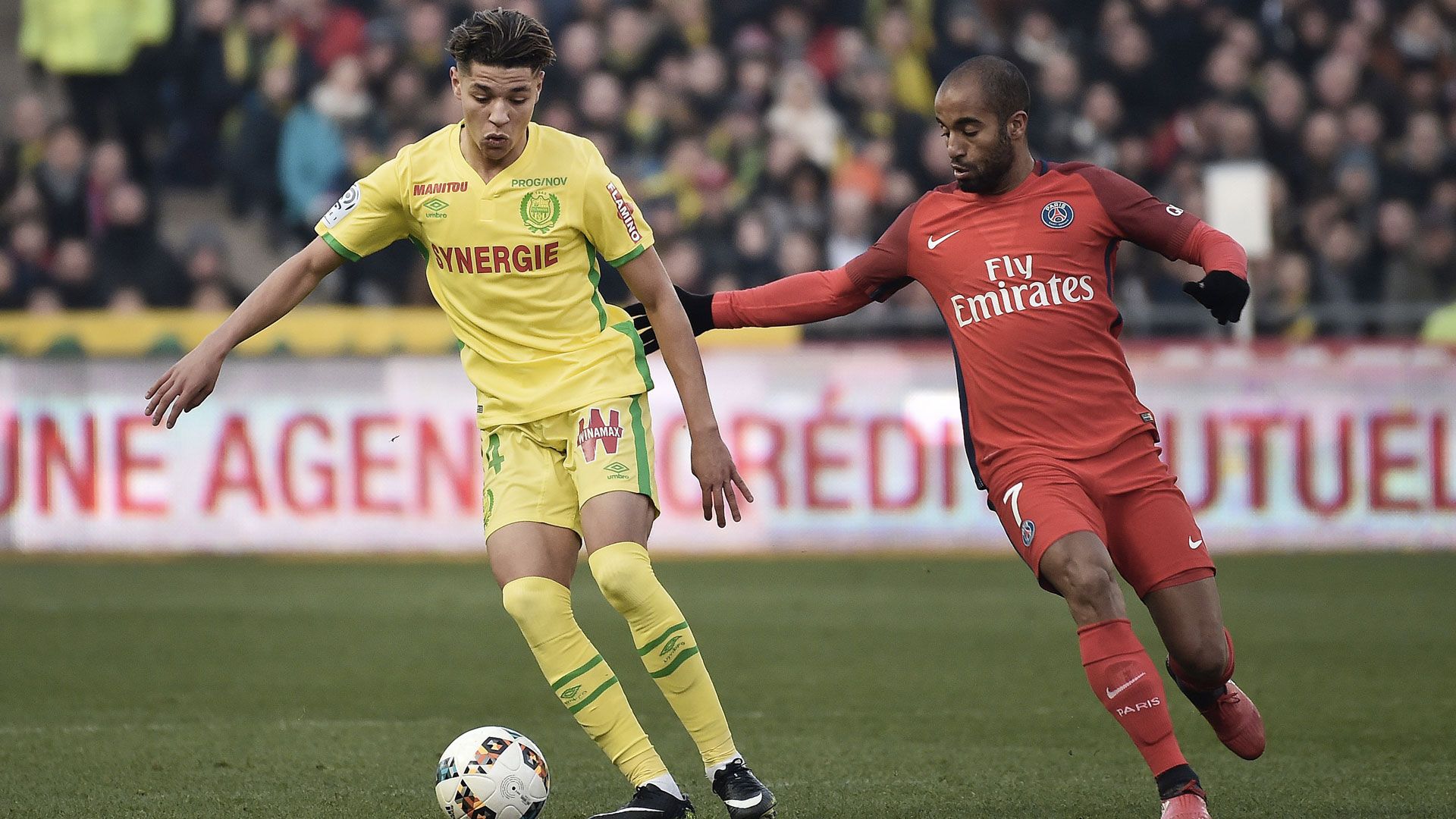 Amine Harit