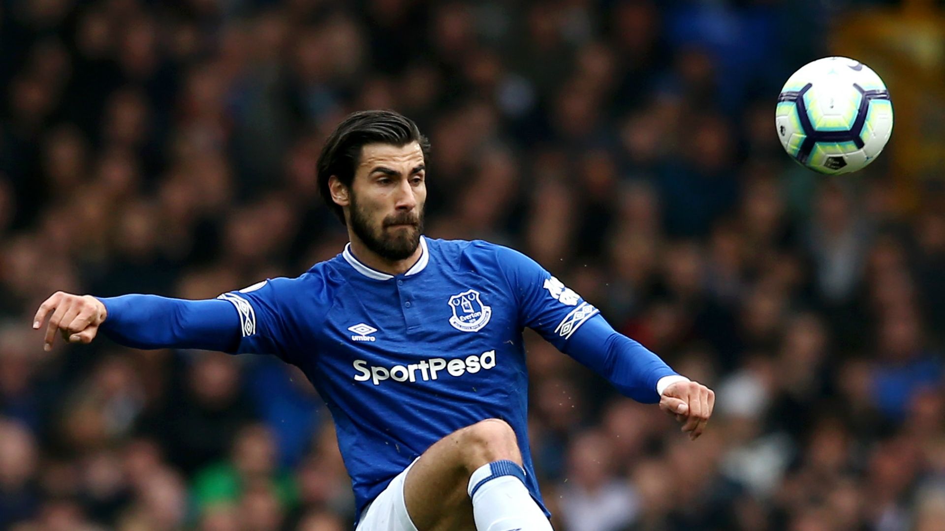 Andre Gomes Everton 2018-2019