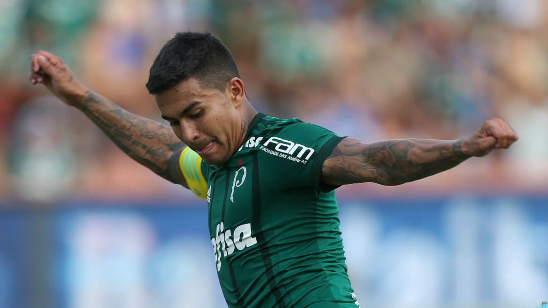 Dudu Botafogo-SP Palmeiras Paulista 21012018