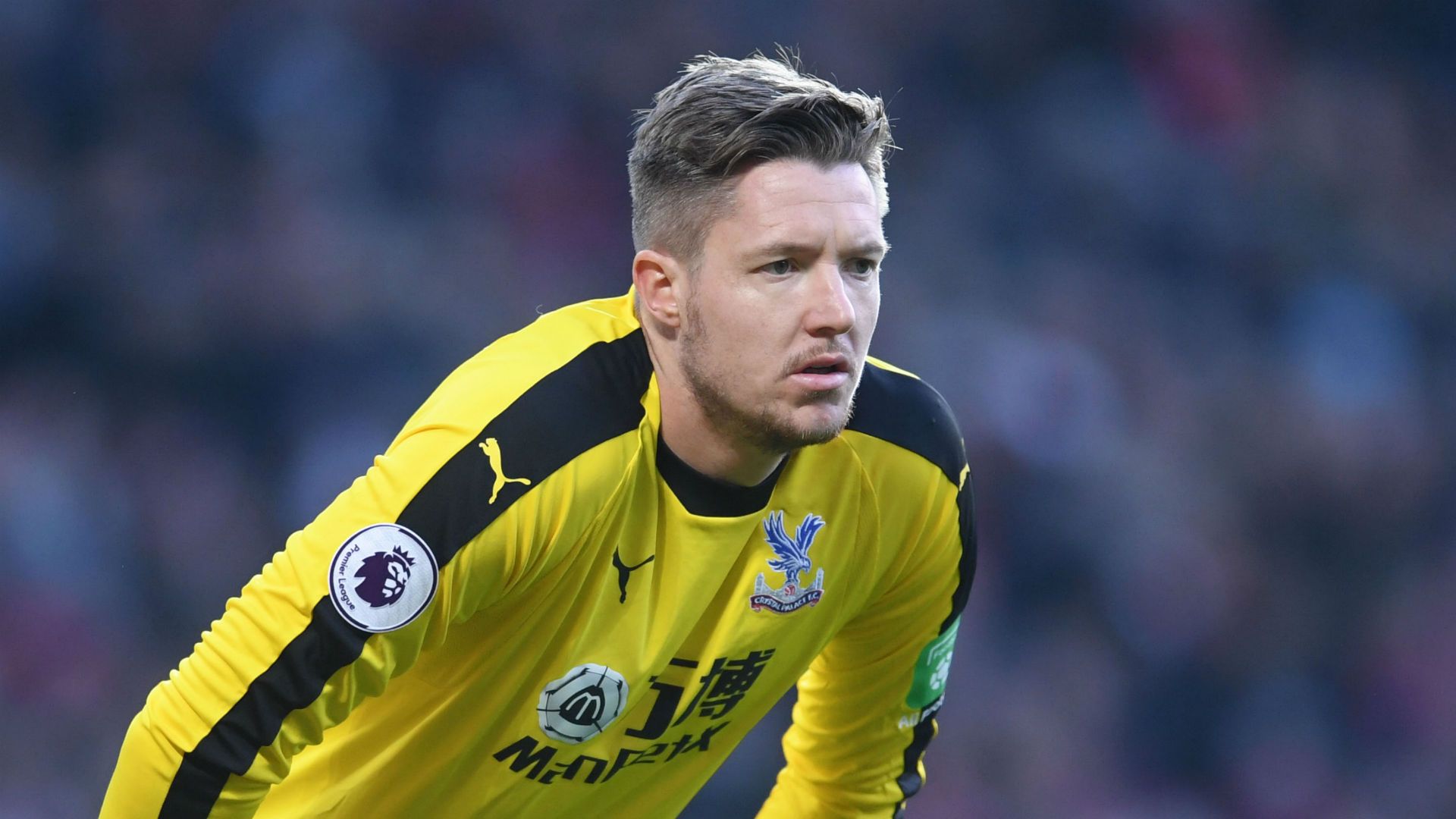 Wayne Hennessey Crystal Palace