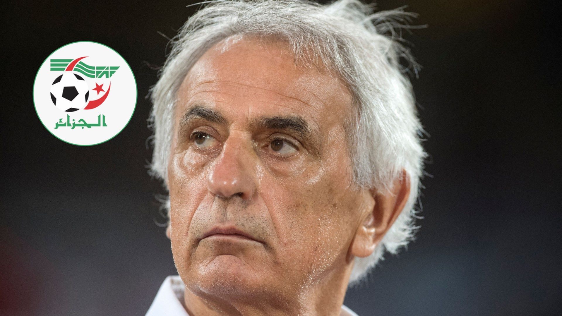 Vahid Halilhodzic Algeria
