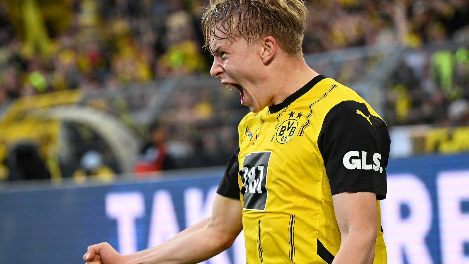 BVB-Boss reagiert begeistert! Borussia Dortmund verkündet ersten Sommertransfer