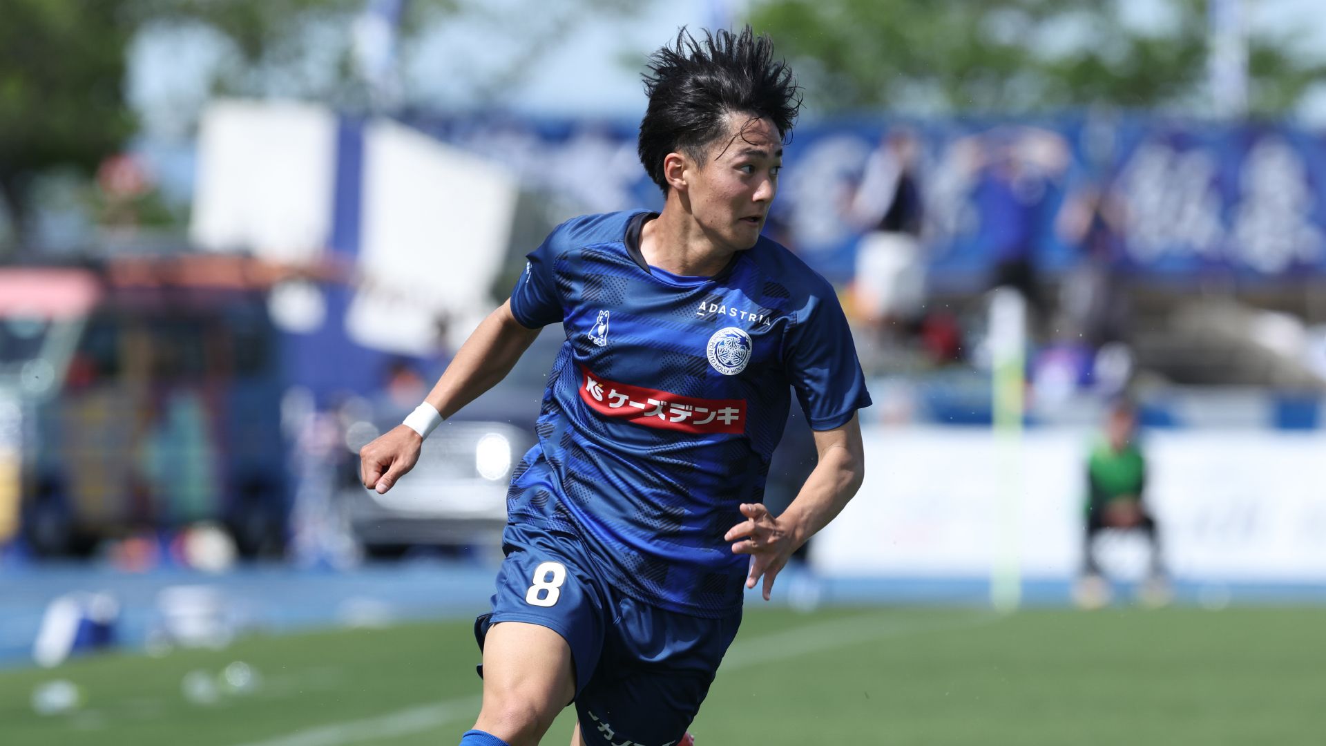 hollyhock-shunsuke-saito