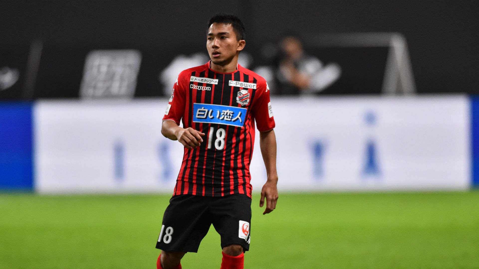 コンサドーレ札幌 テレビ