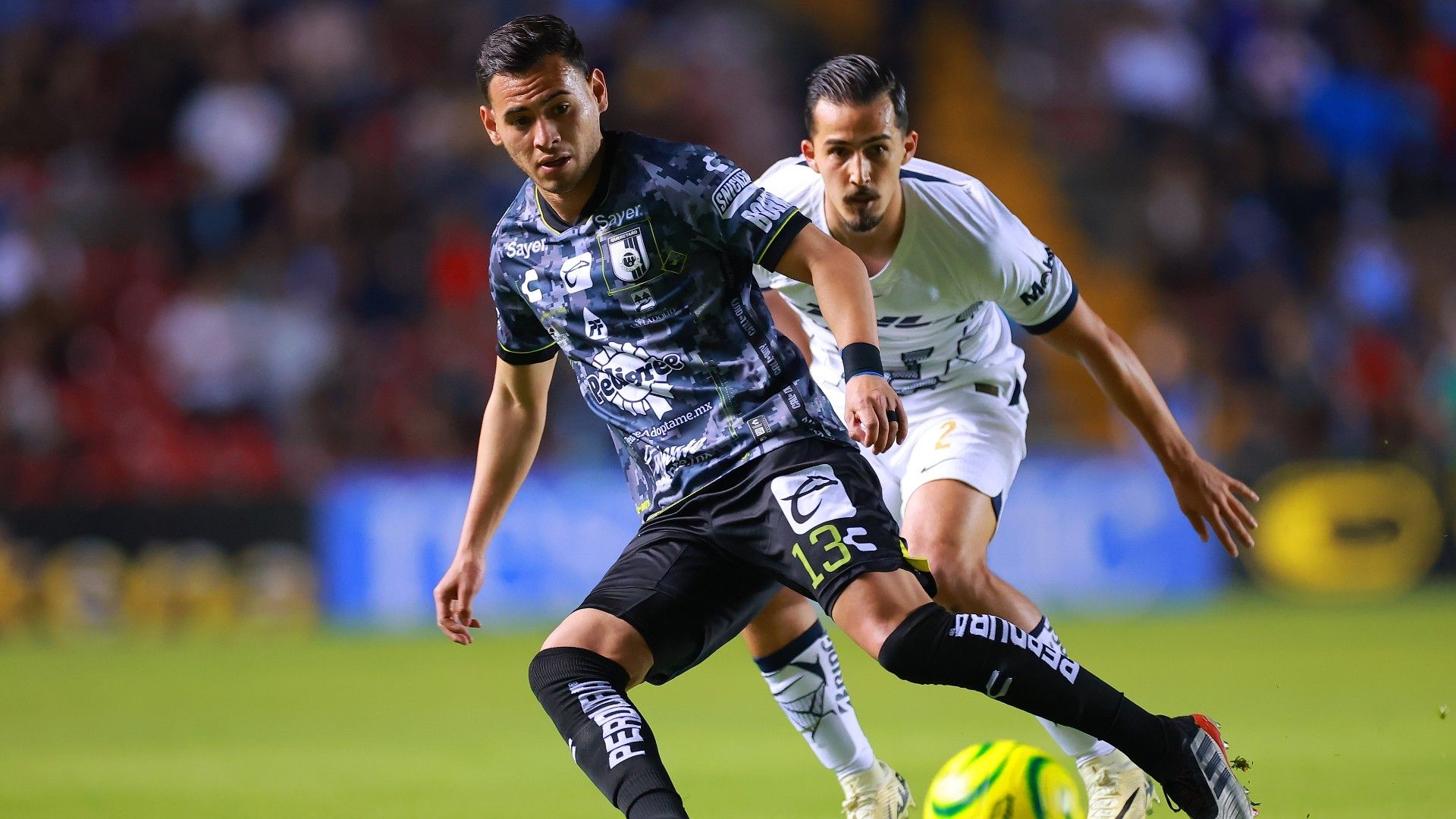 Querétaro Pumas Clausura 2024