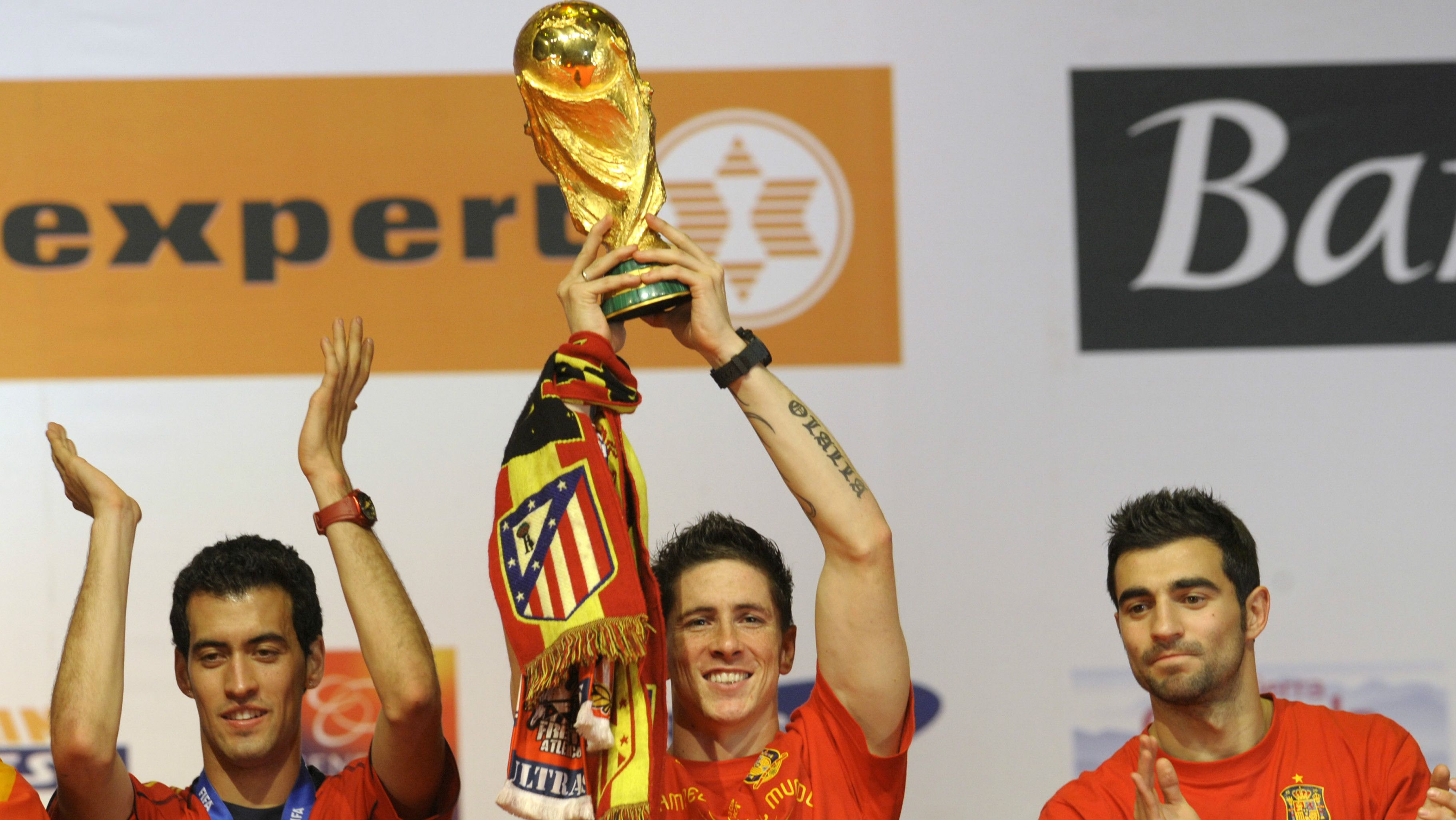 Fernando Torres Spain World Cup