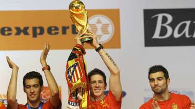 Fernando Torres Spain World Cup