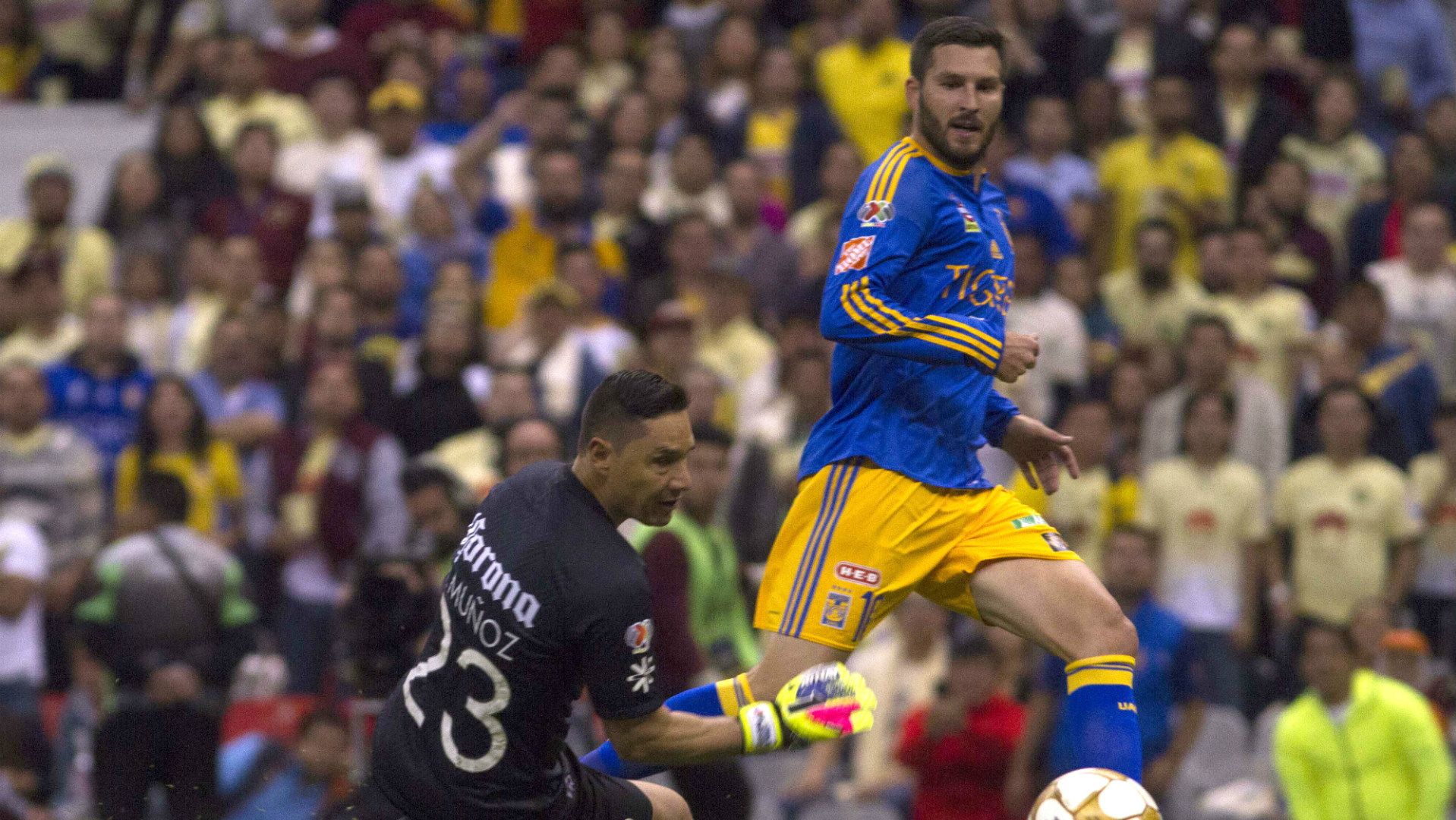 Andre-Pierre Gignac Moises Munoz Tigres America