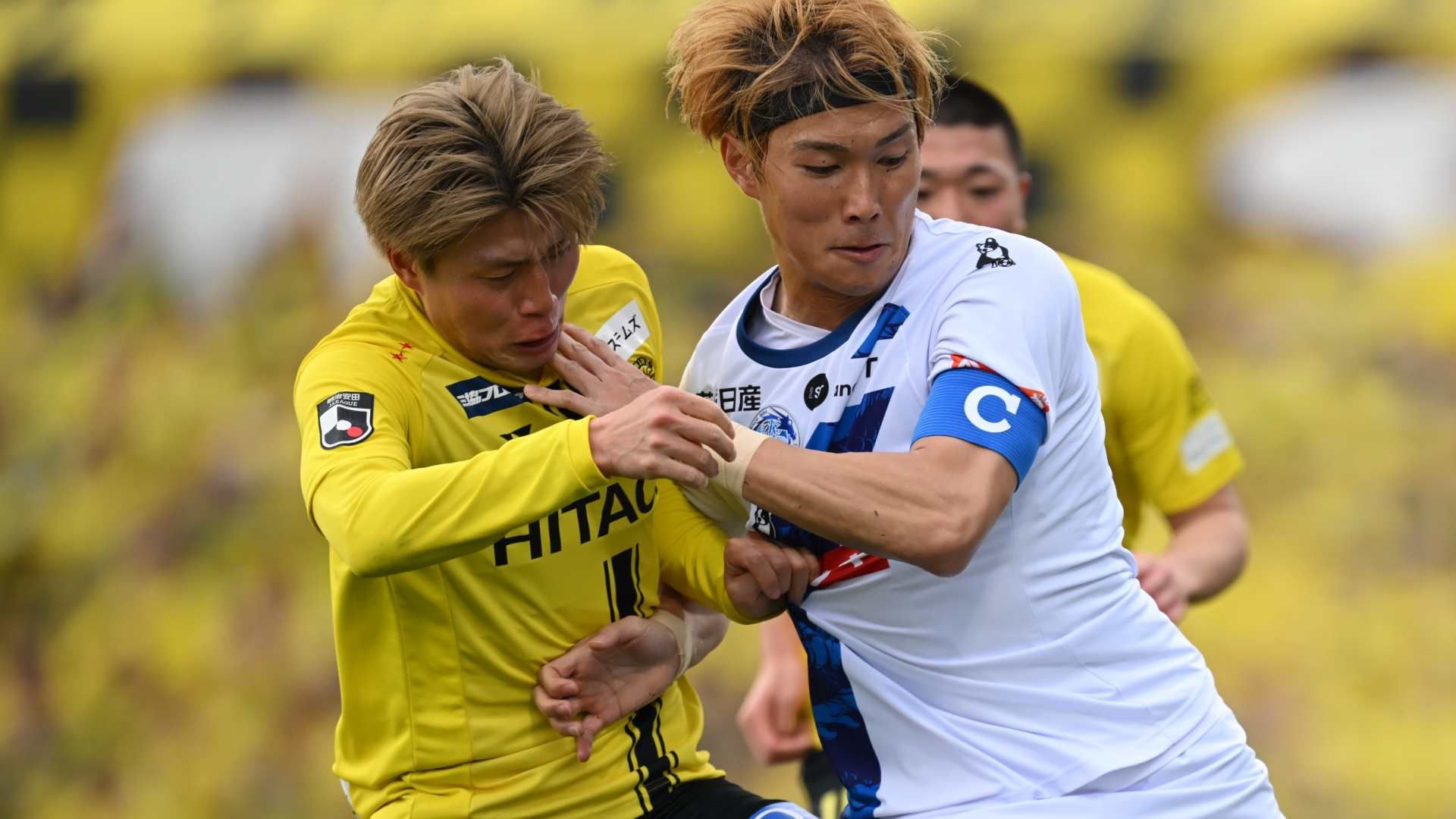 kashiwa mito