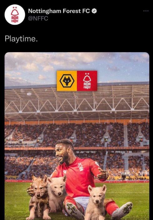 Forest-Tweet-screenshot