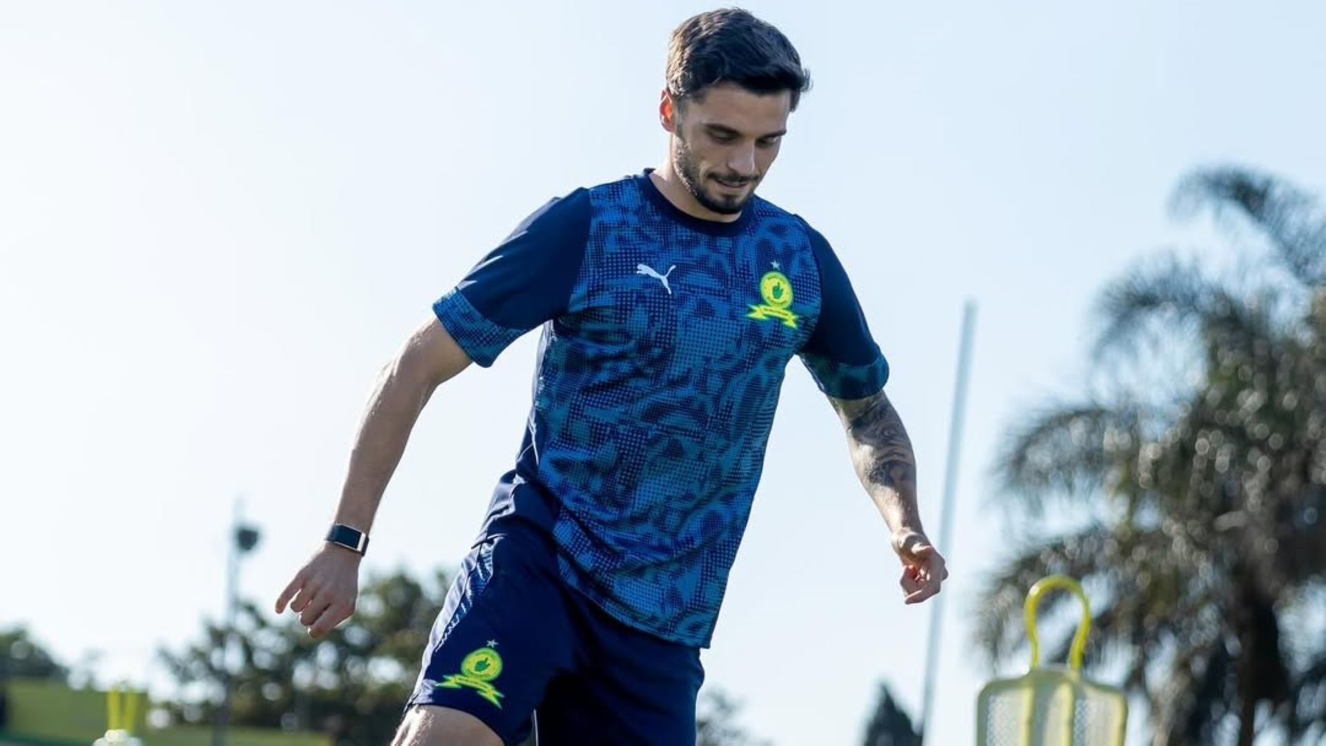 Miguel Reisinho, Mamelodi Sundowns