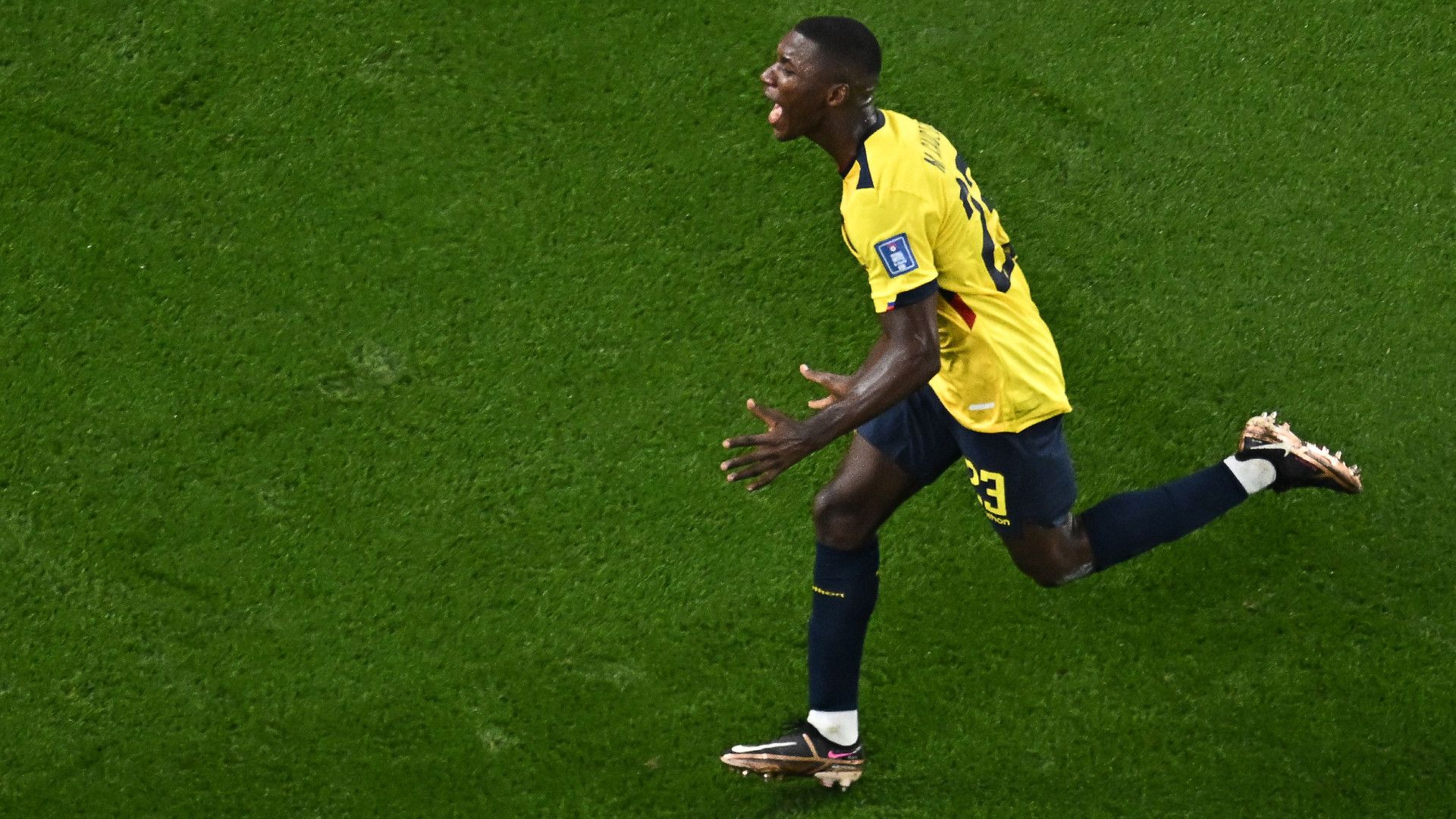 Moises Caicedo World Cup 2022