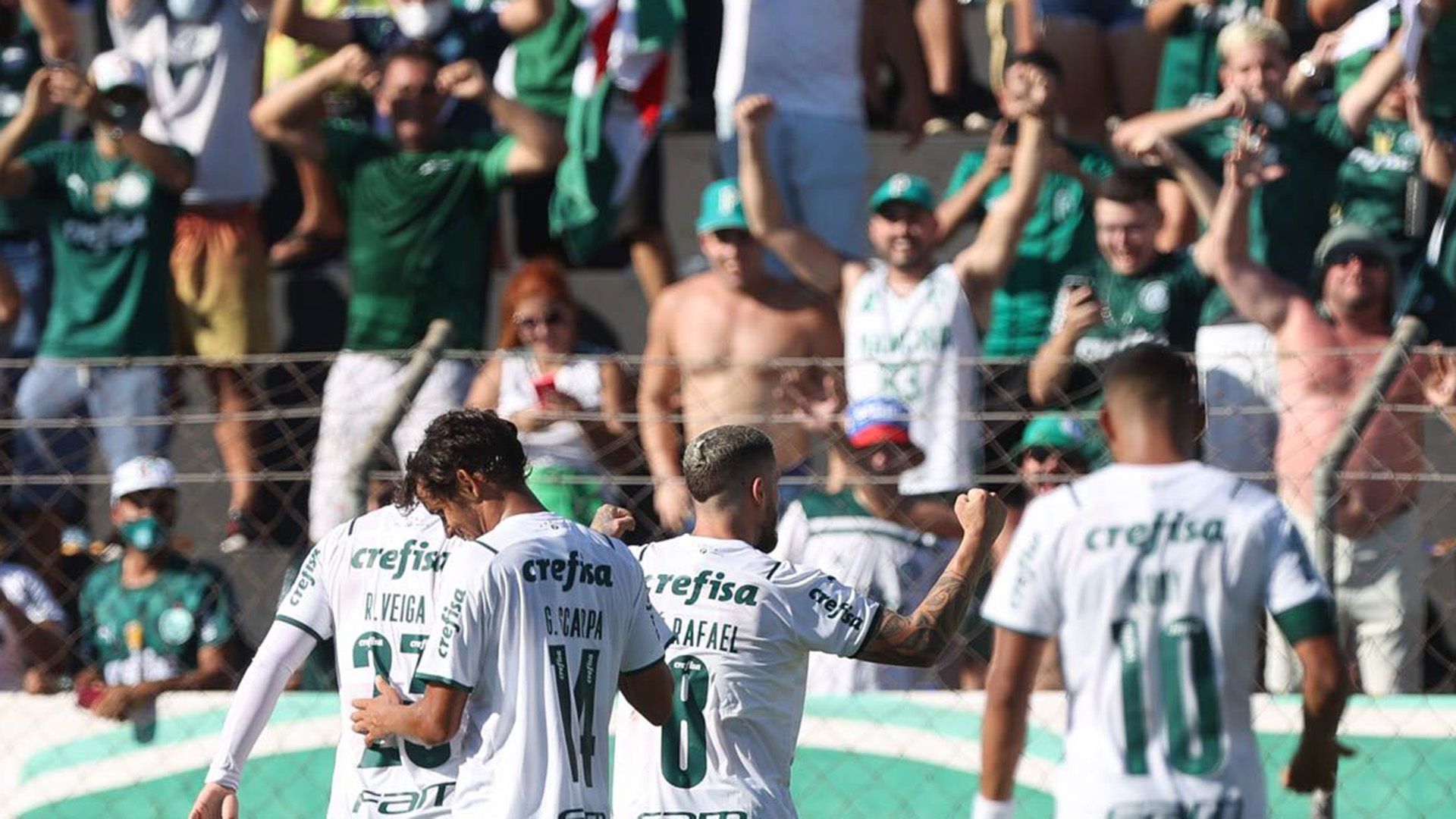 Jogadores comemoram, Novorizontino x Palmeiras, Paulistão, 23012022