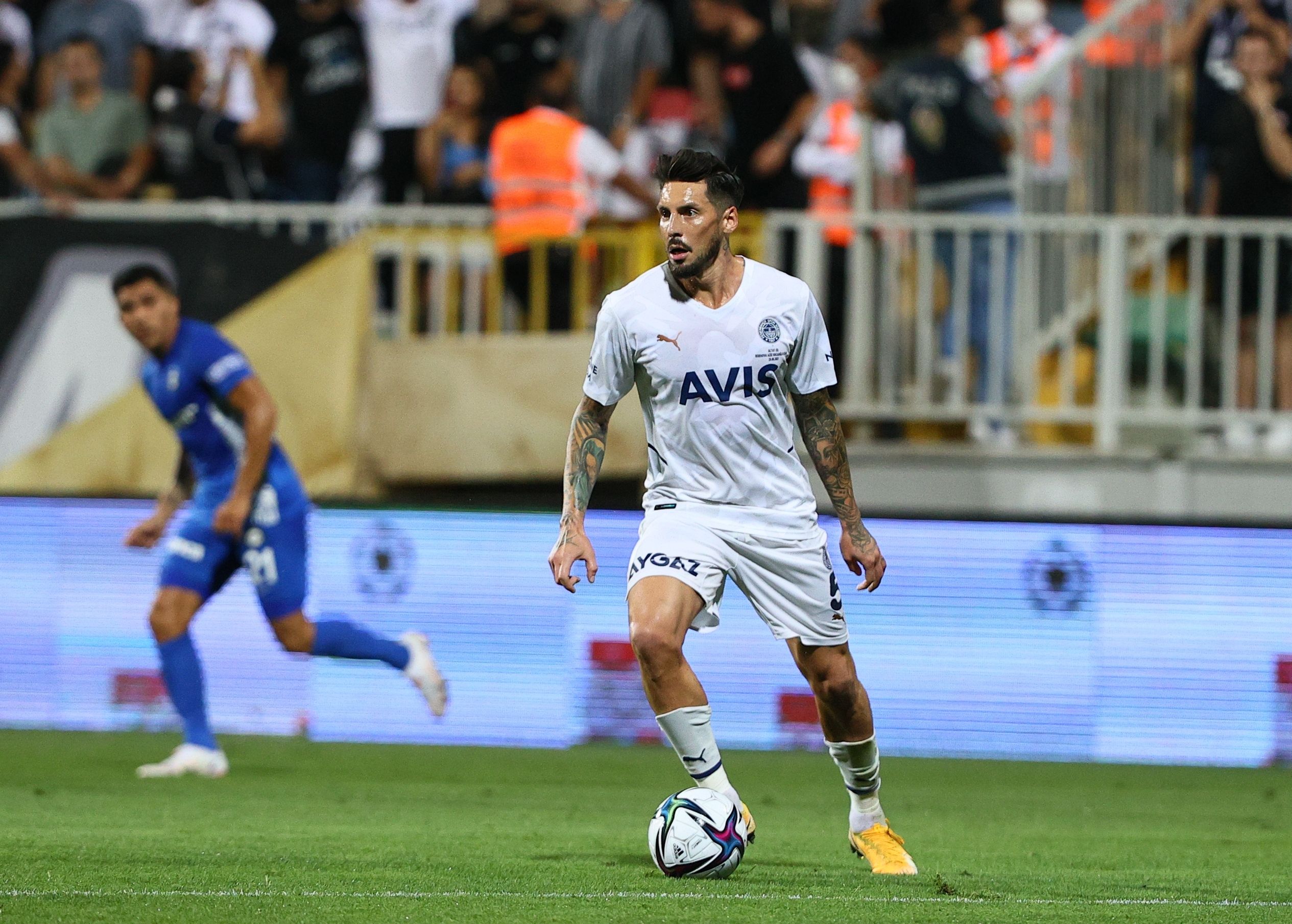 Jose Sosa, Fenerbahçe 