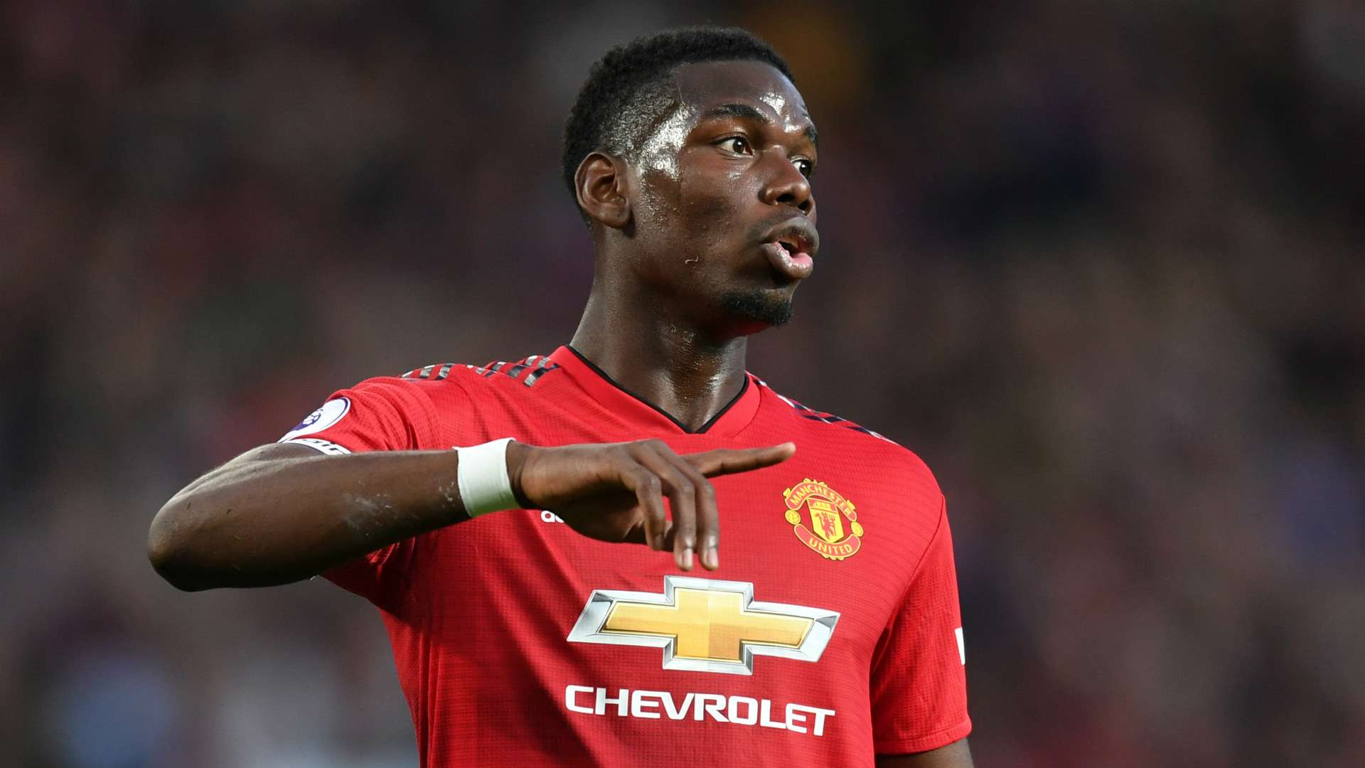 Paul Pogba Man Utd 2018-19