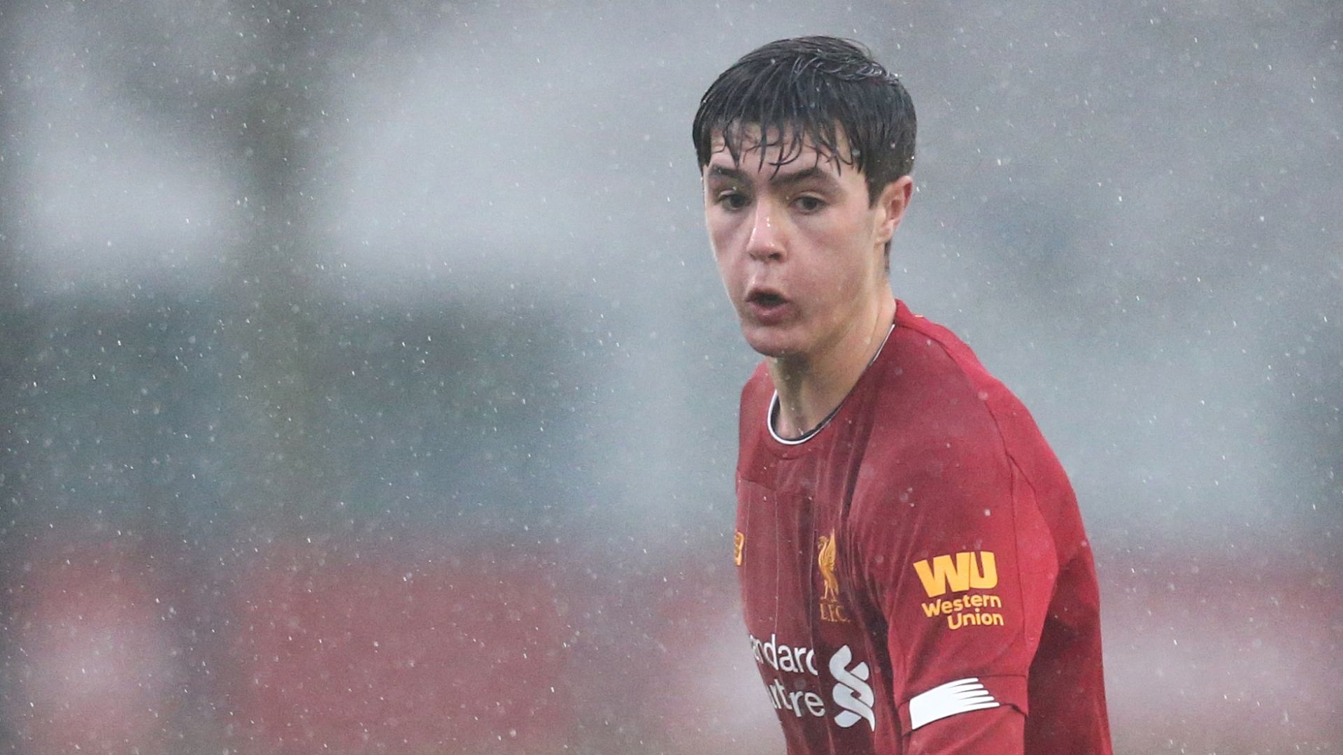 Layton Stewart Liverpool 2019