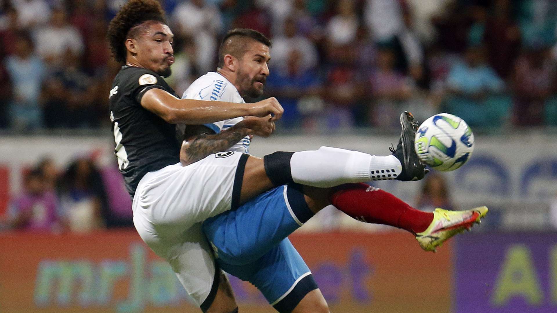 Adryelson, zagueiro do Botafogo, em disputa de bola contra o Bahia