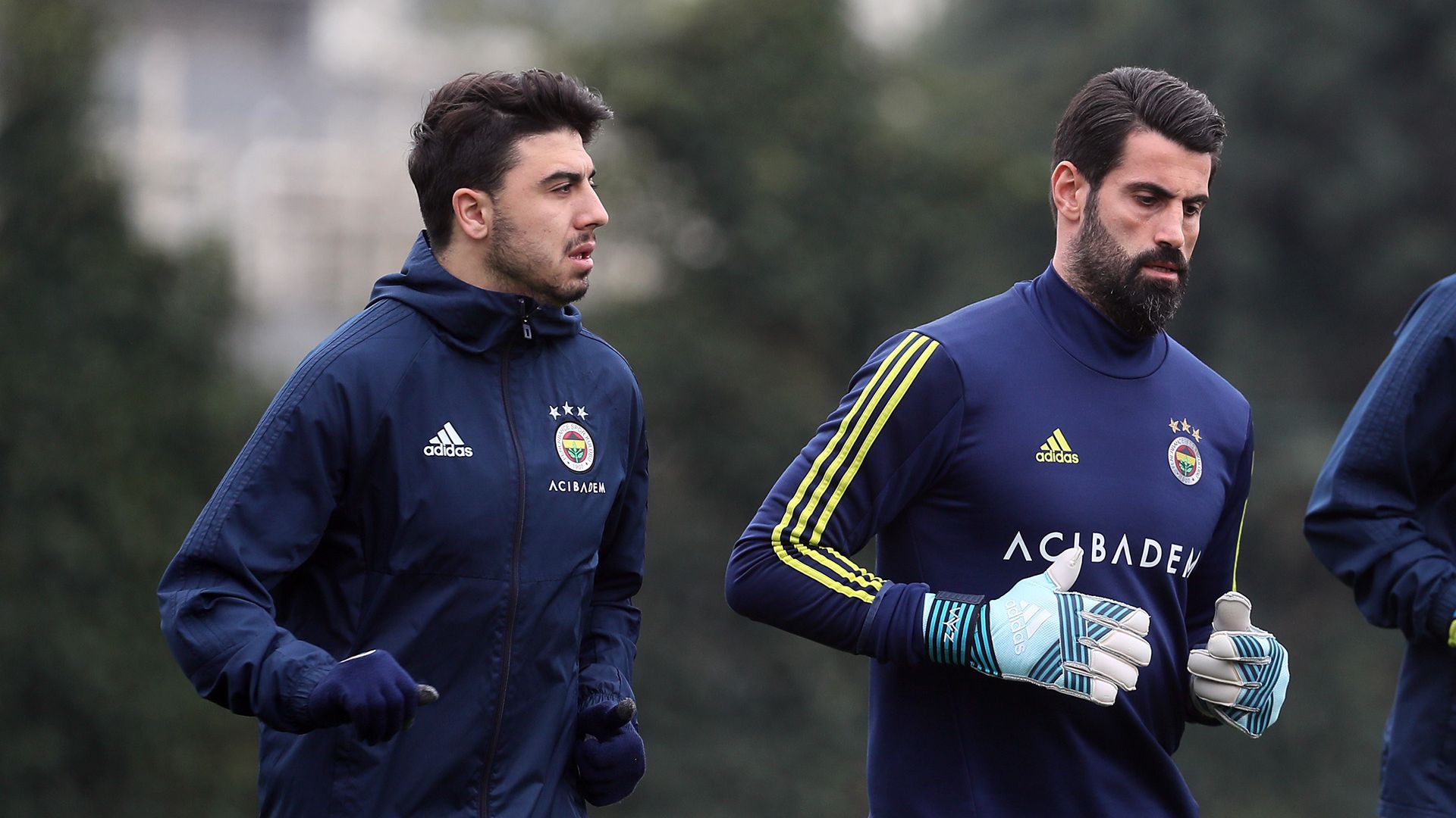 Ozan Tufan Volkan Demirel Fenerbahce